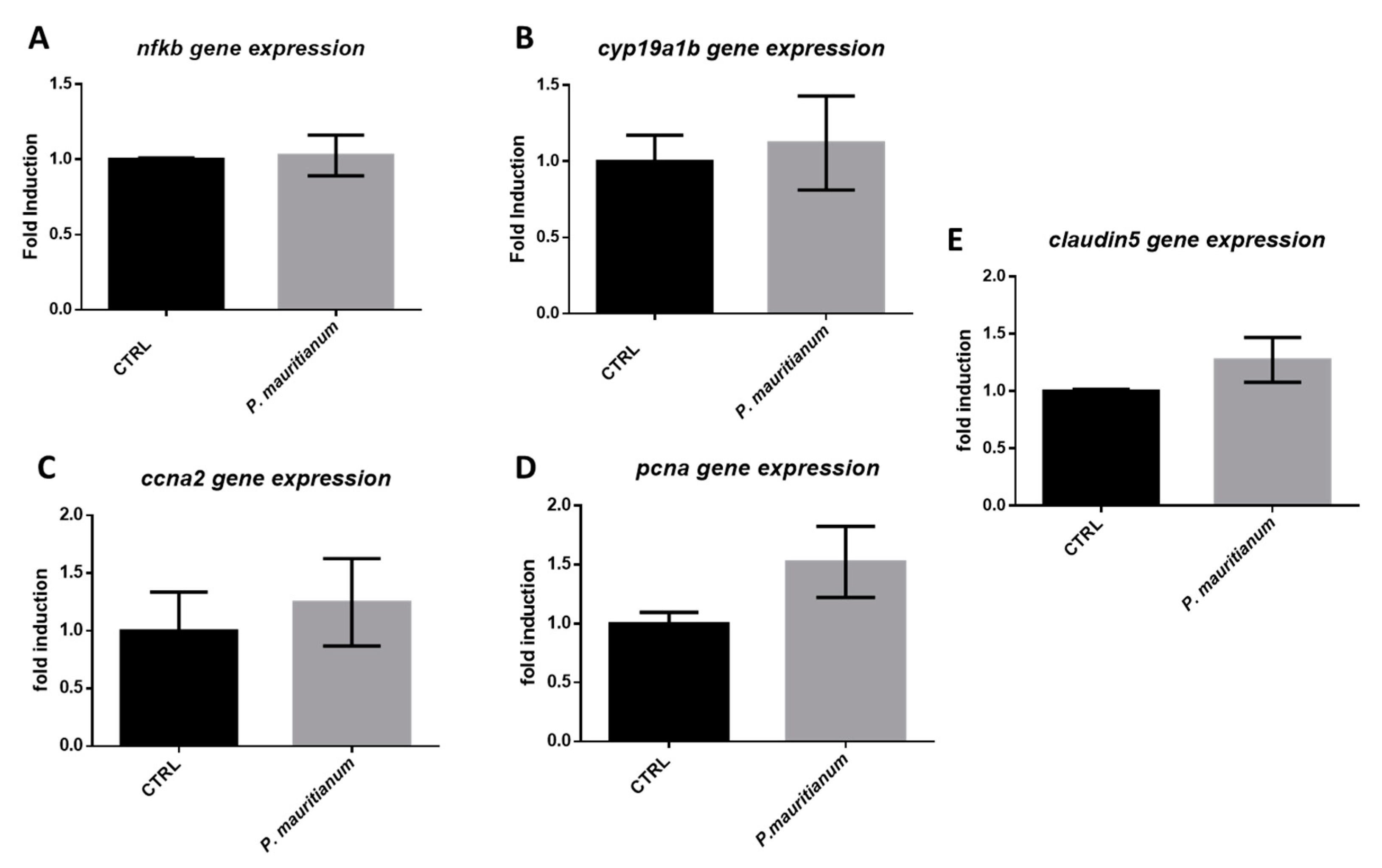 Antioxidants 11 01309 g010 Antioxidants 11 01309 g010
