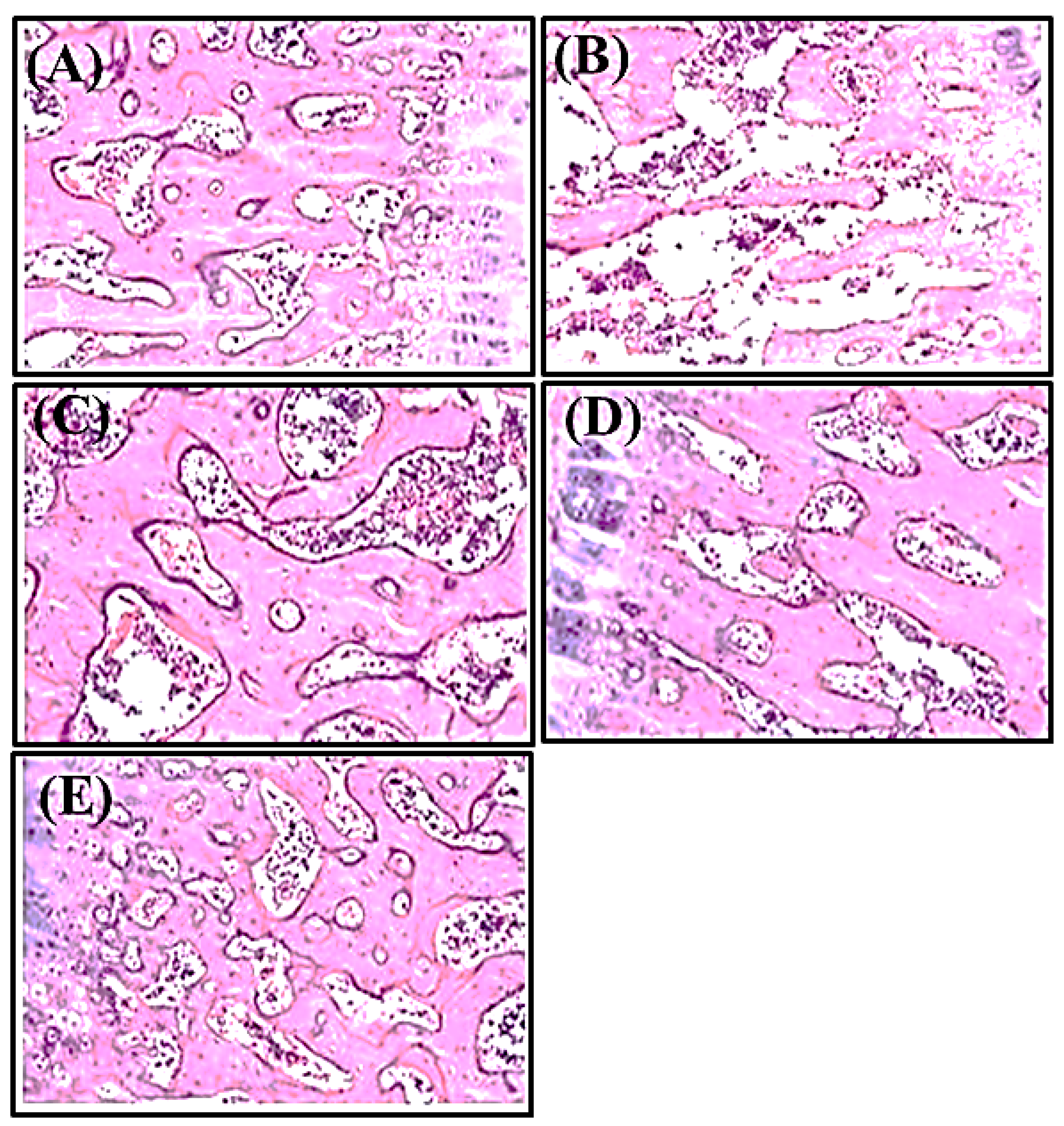 Antioxidants 11 01316 g003