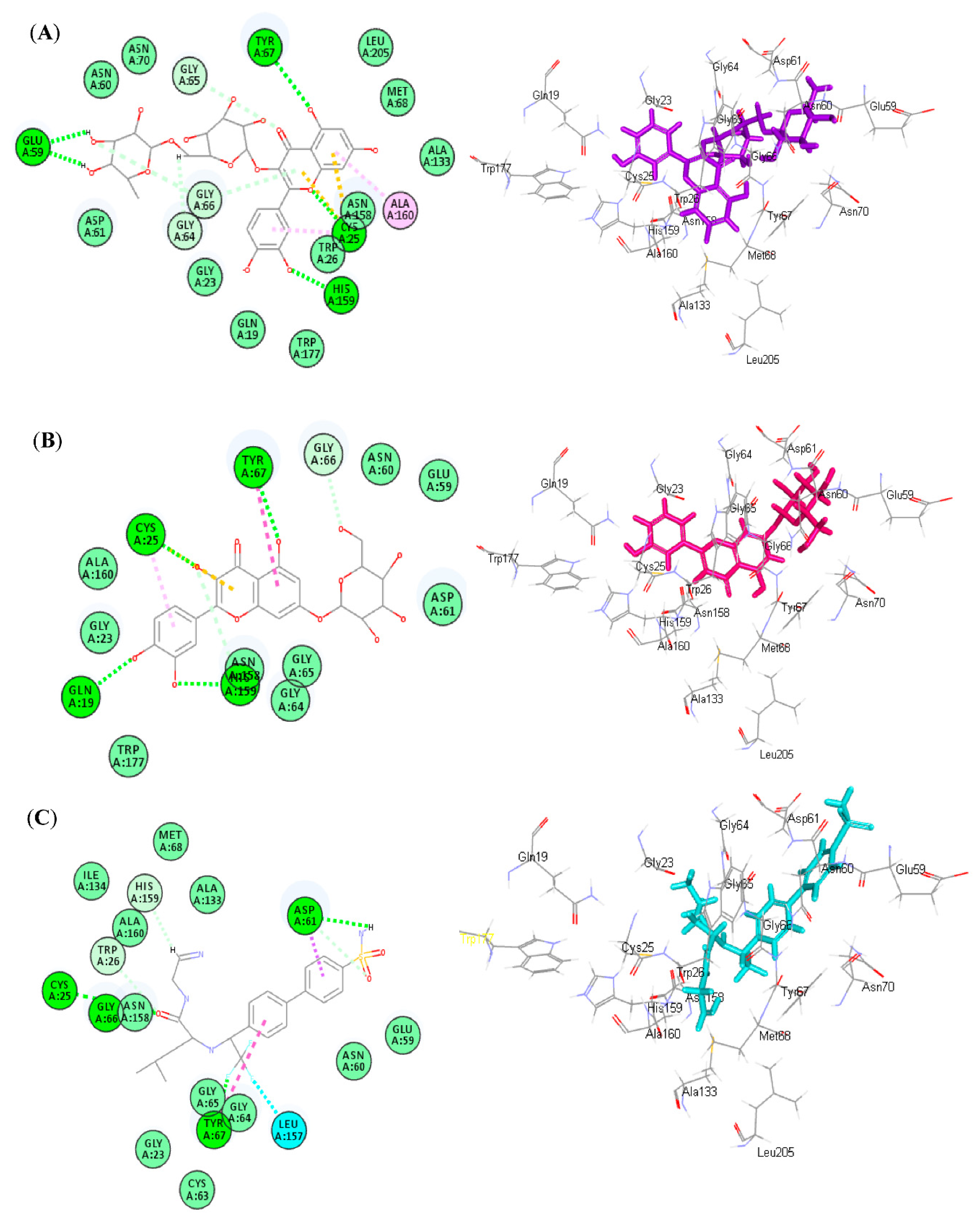 Antioxidants 11 01316 g005