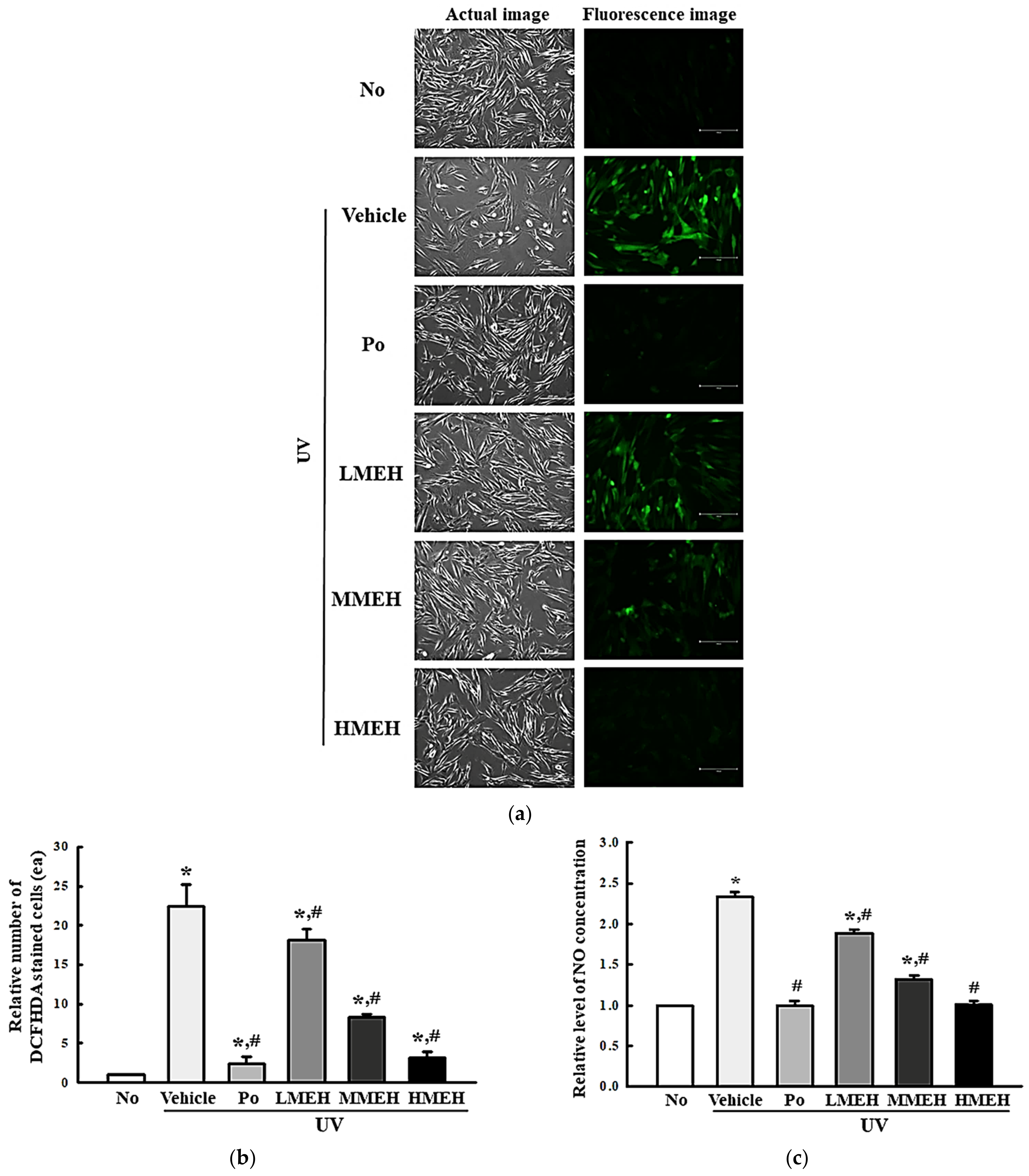 Antioxidants 11 01317 g002