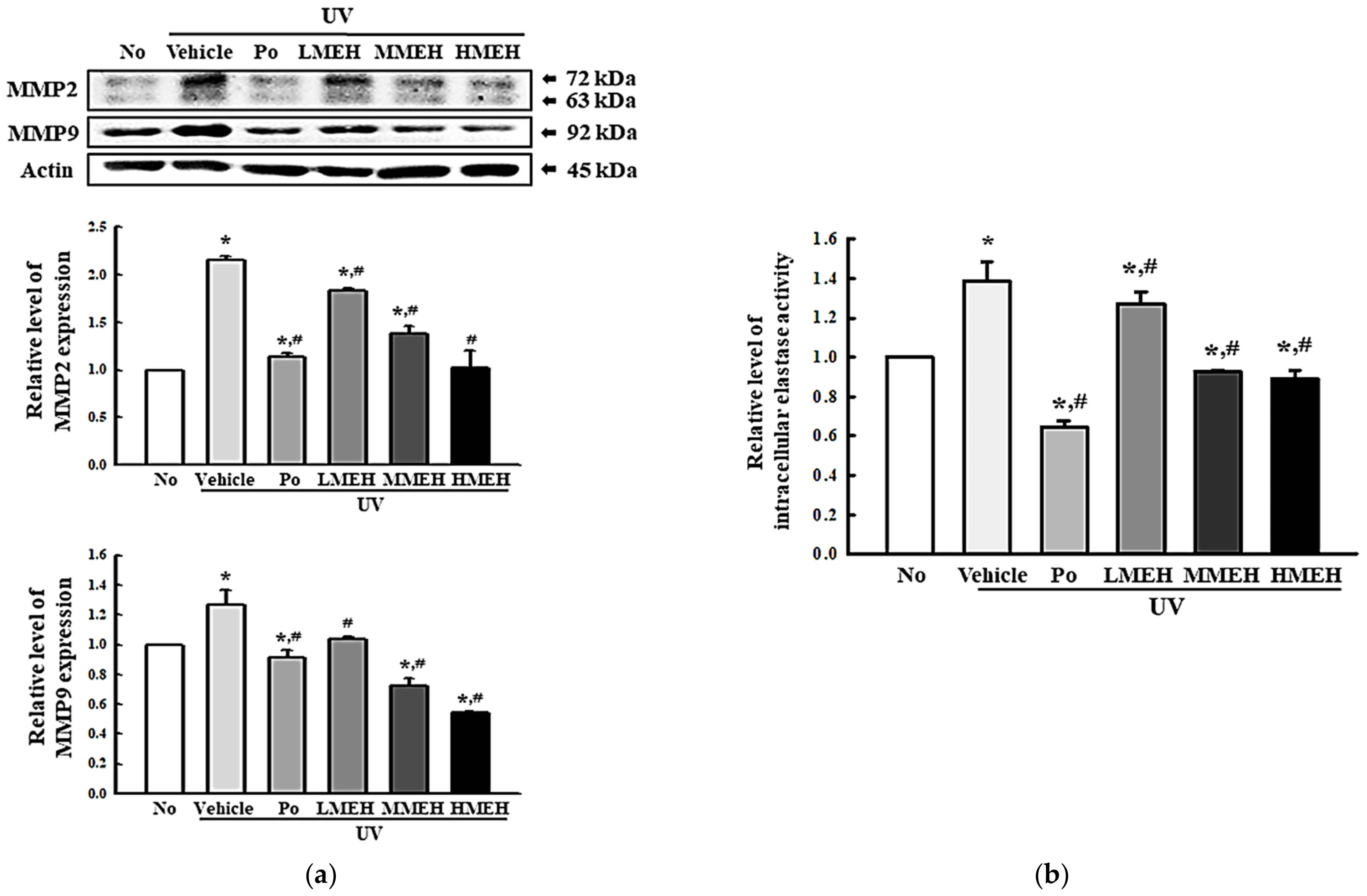 Antioxidants 11 01317 g007