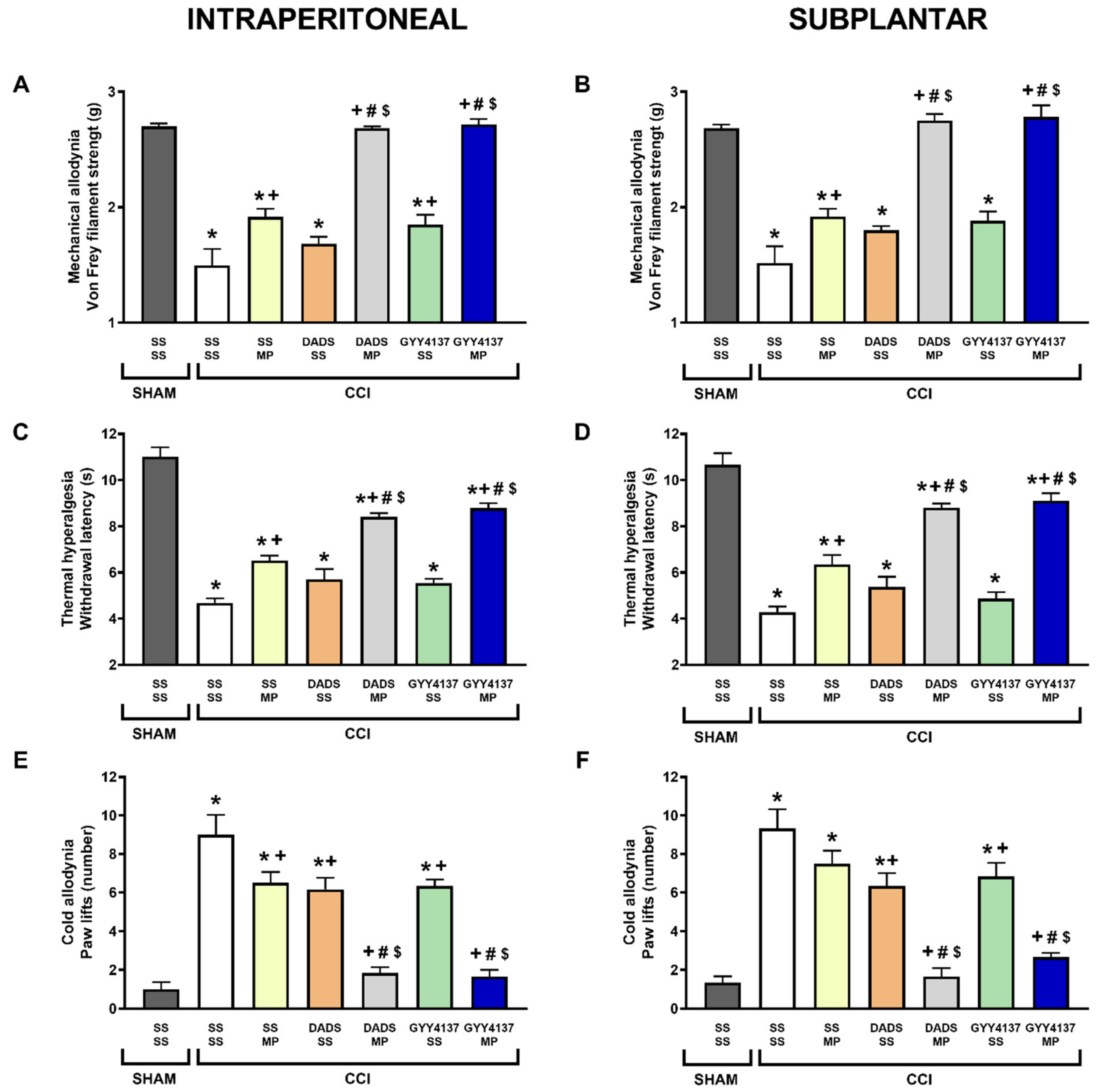 Antioxidants 11 01321 g001