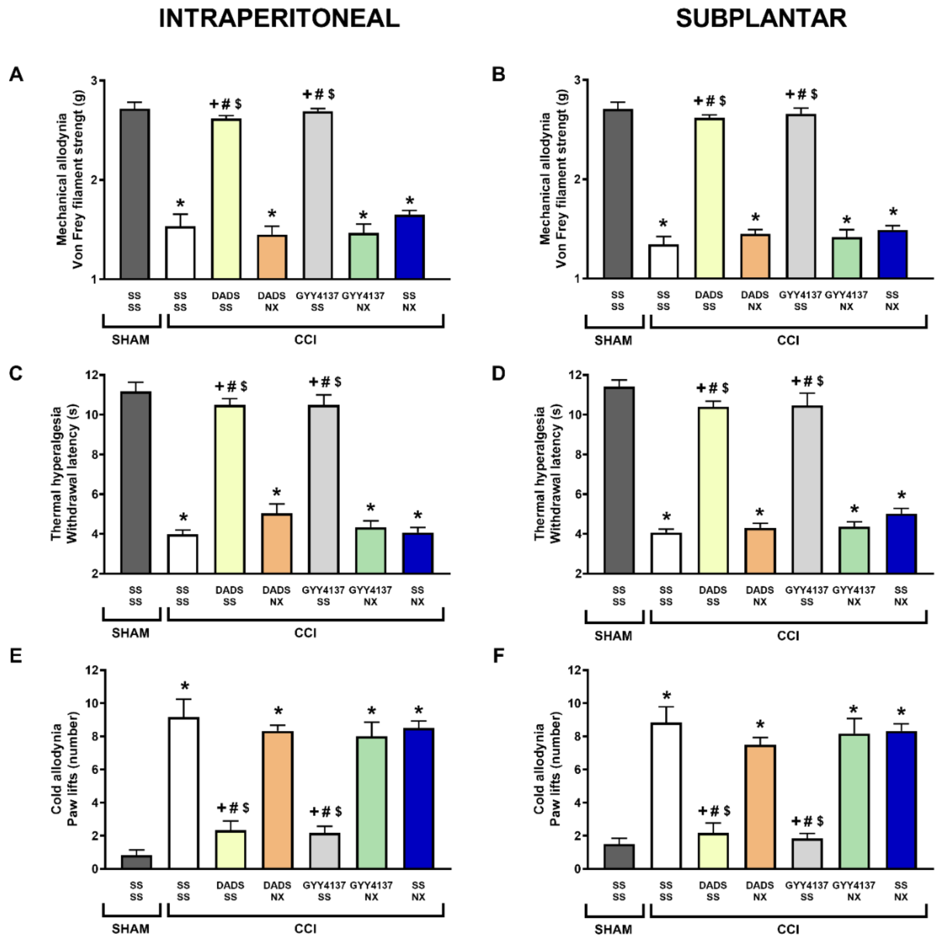 Antioxidants 11 01321 g003