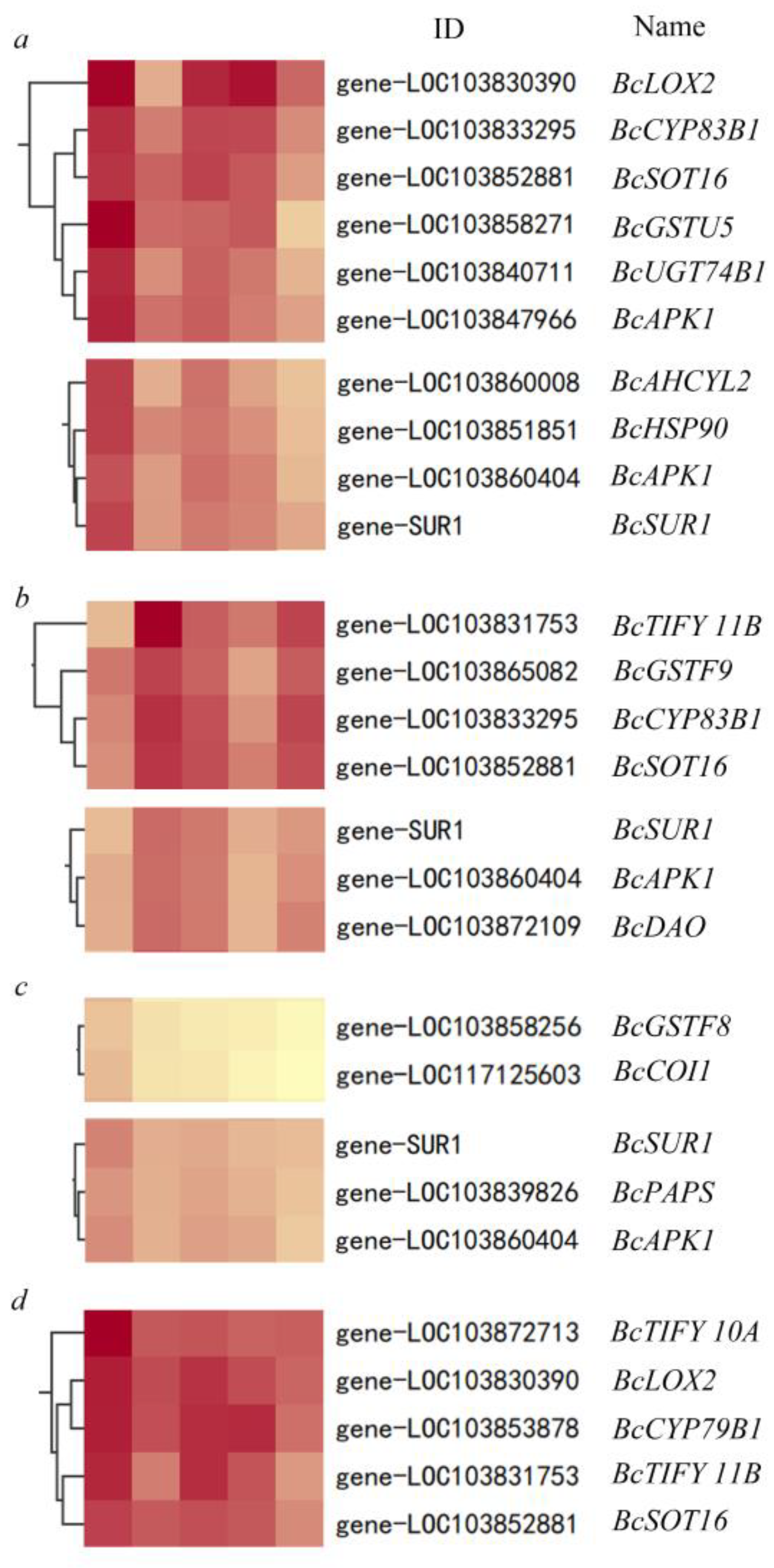 Antioxidants 11 01322 g004