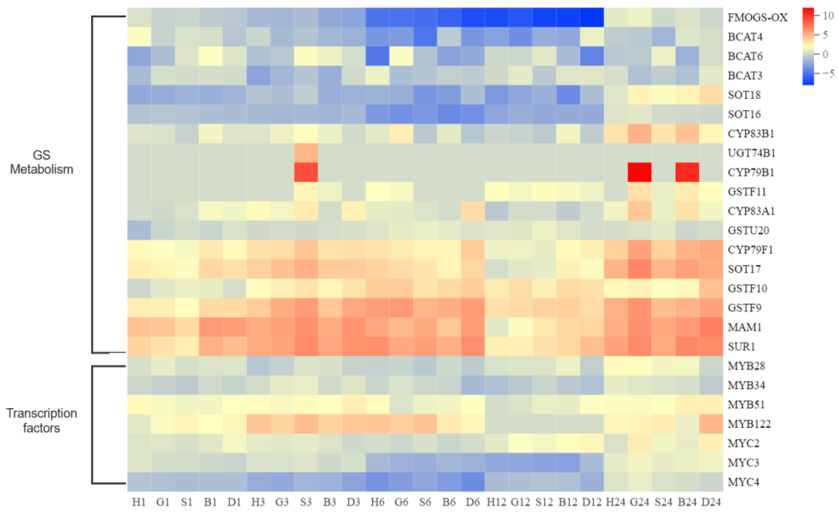 Antioxidants 11 01322 g010