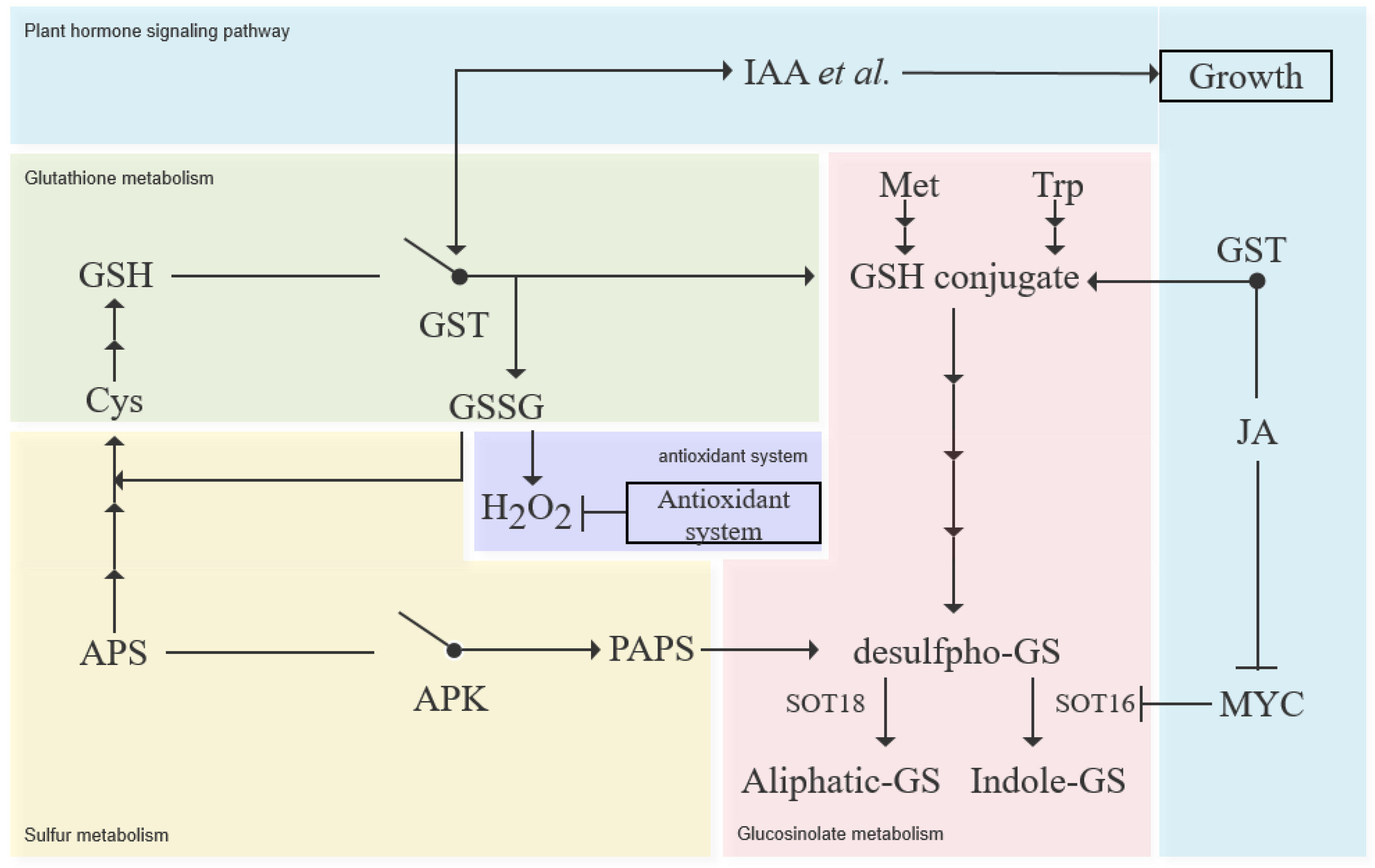 Antioxidants 11 01322 g012a