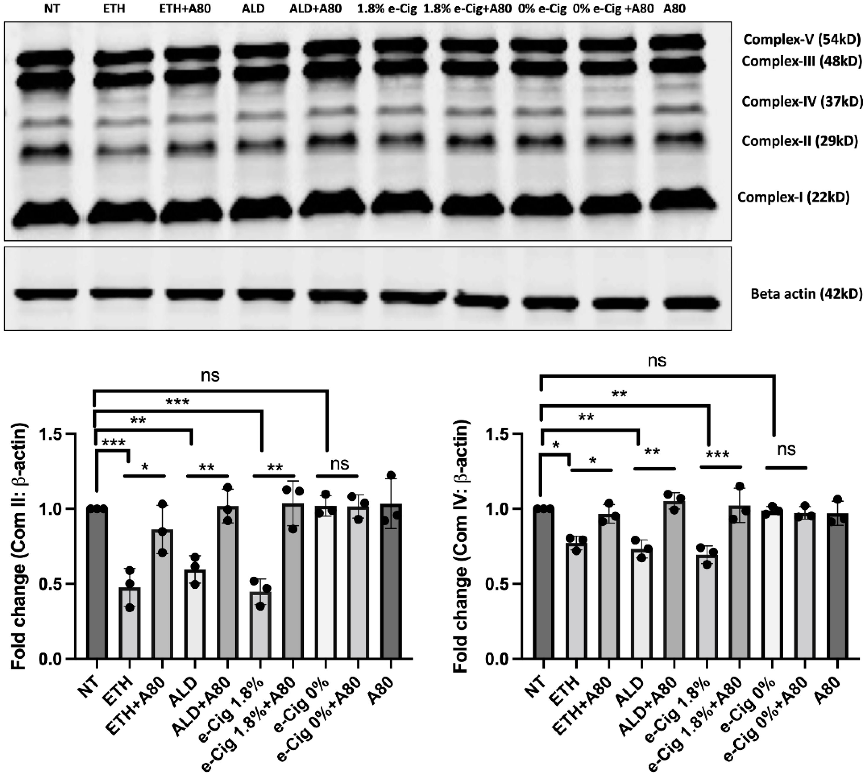 Antioxidants 11 01328 g002