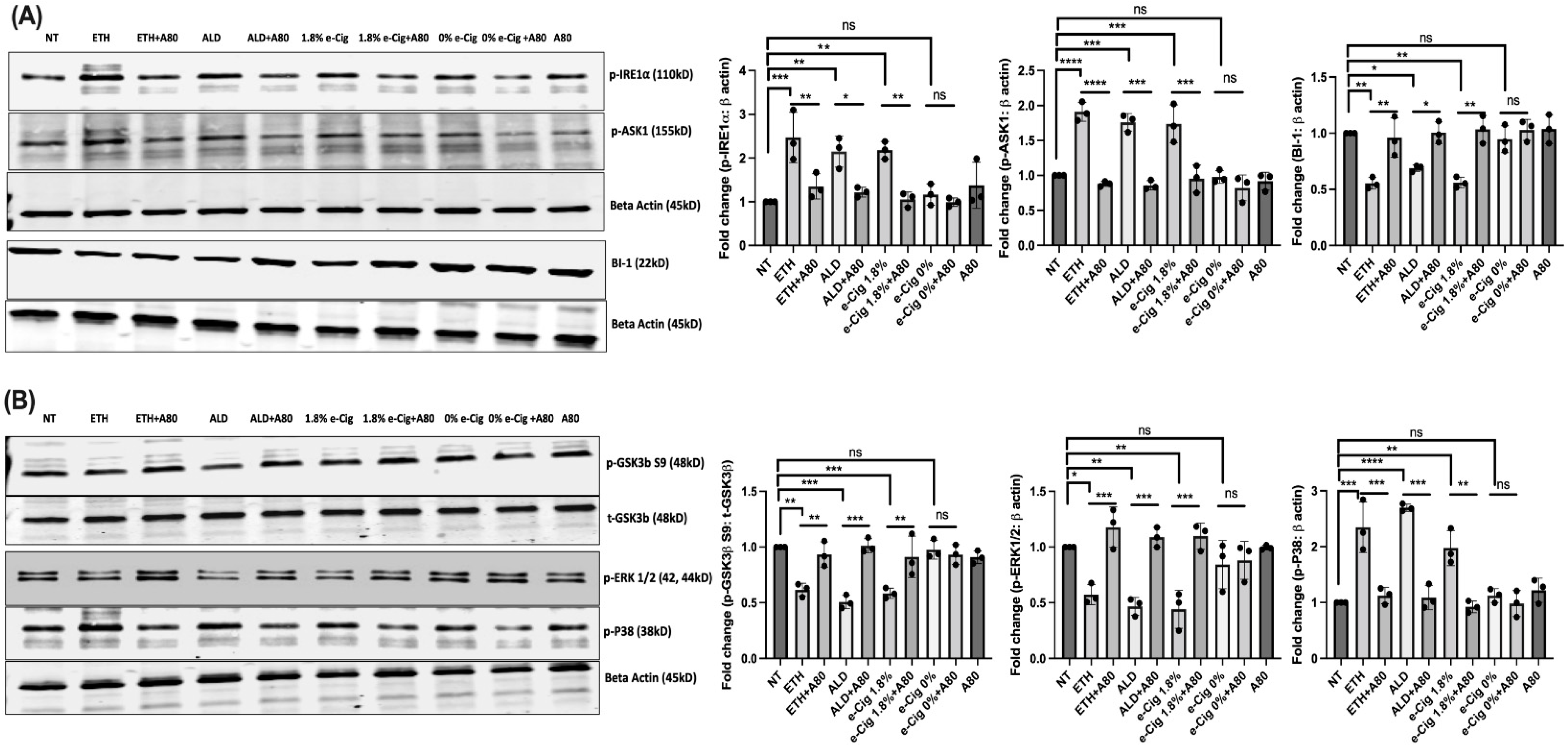 Antioxidants 11 01328 g004