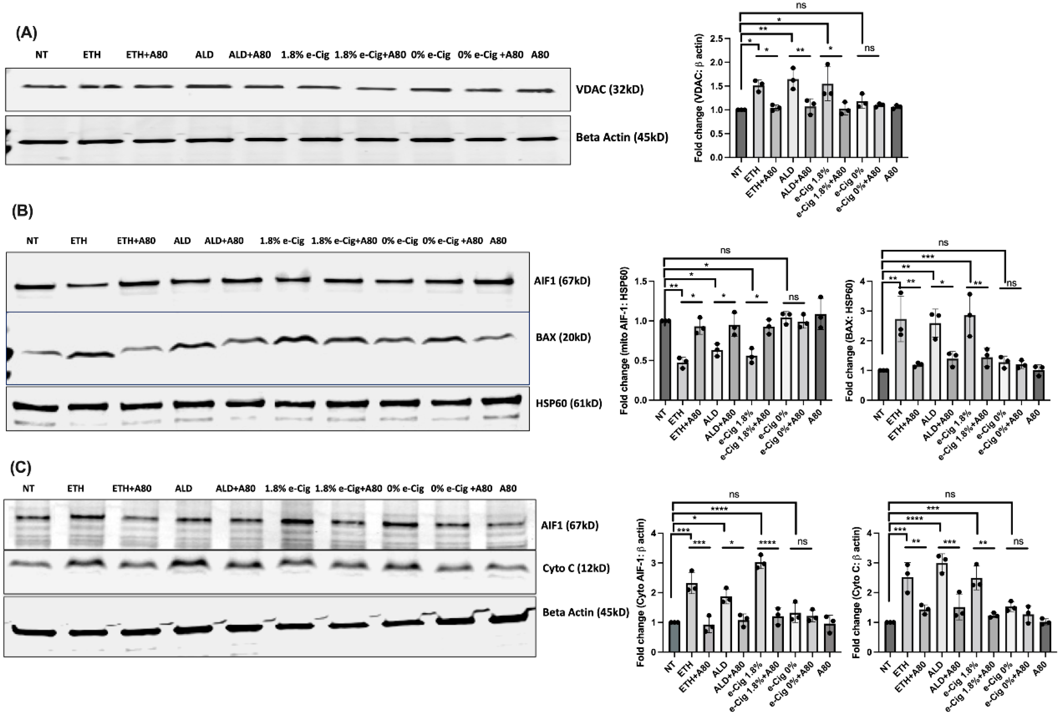 Antioxidants 11 01328 g005