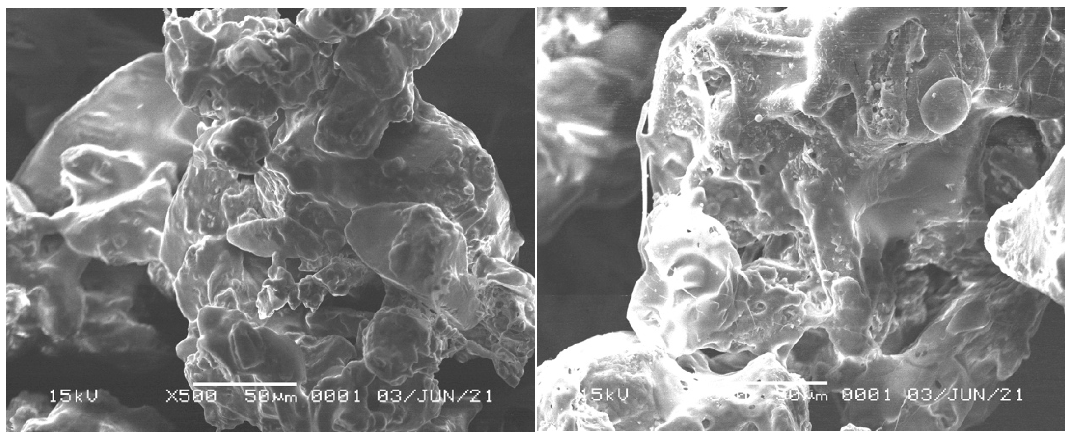 Antioxidants 11 01331 g003 Antioxidants 11 01331 g003