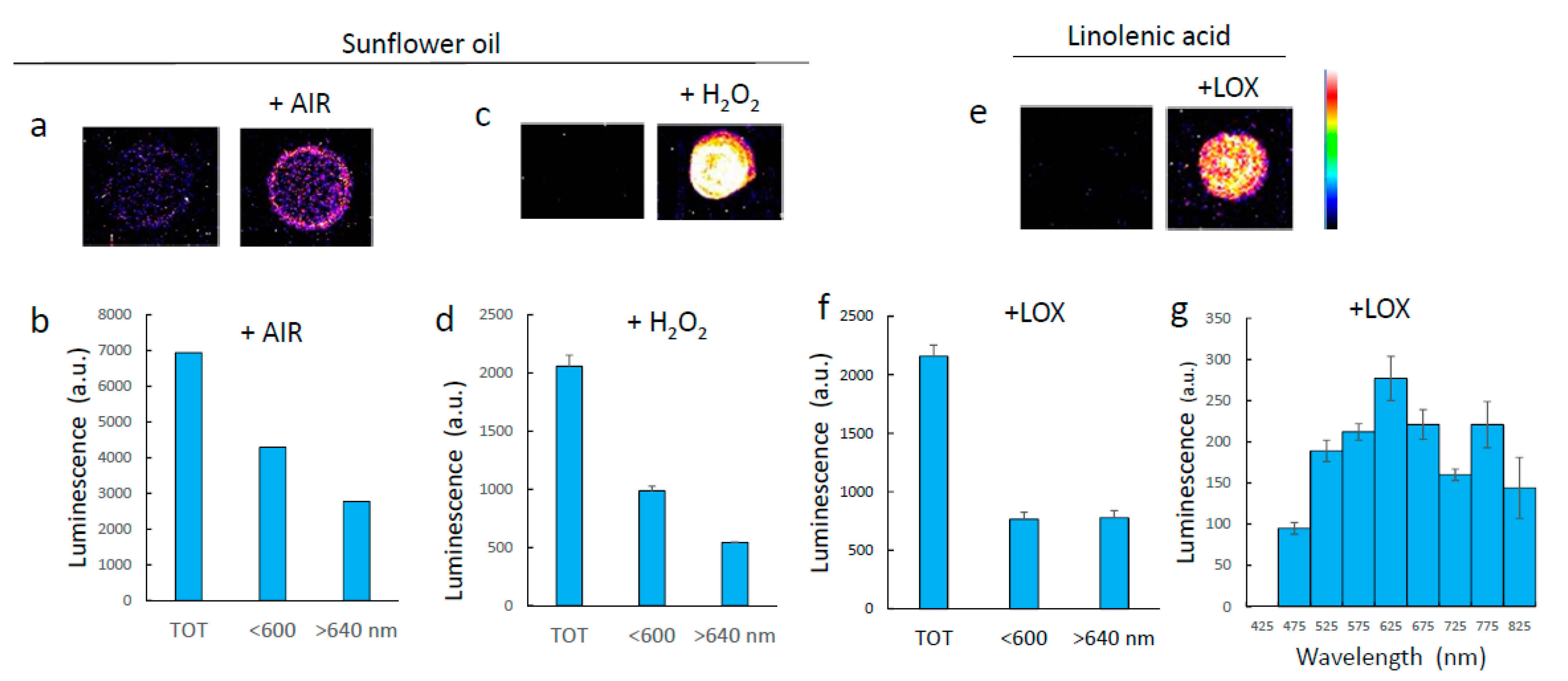 Antioxidants 11 01333 g003