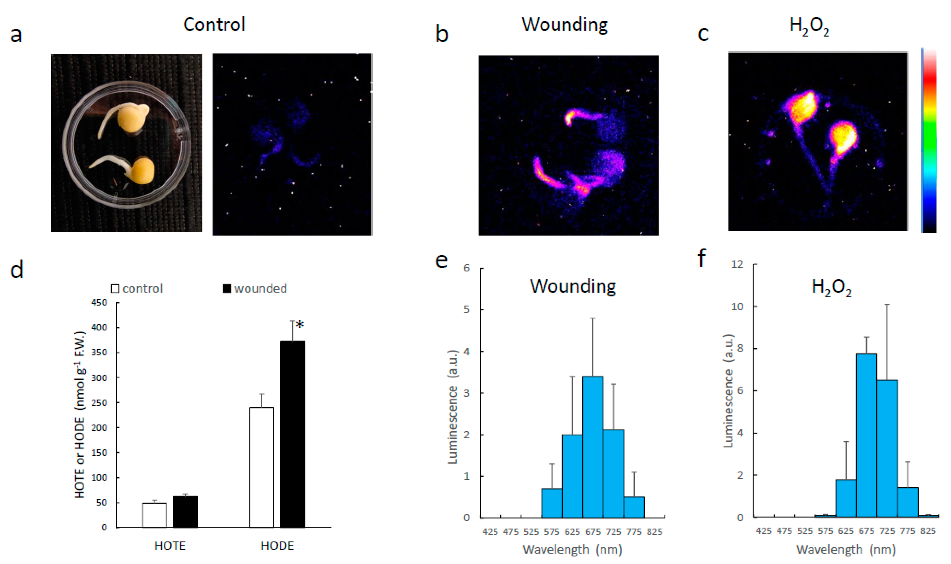 Antioxidants 11 01333 g005