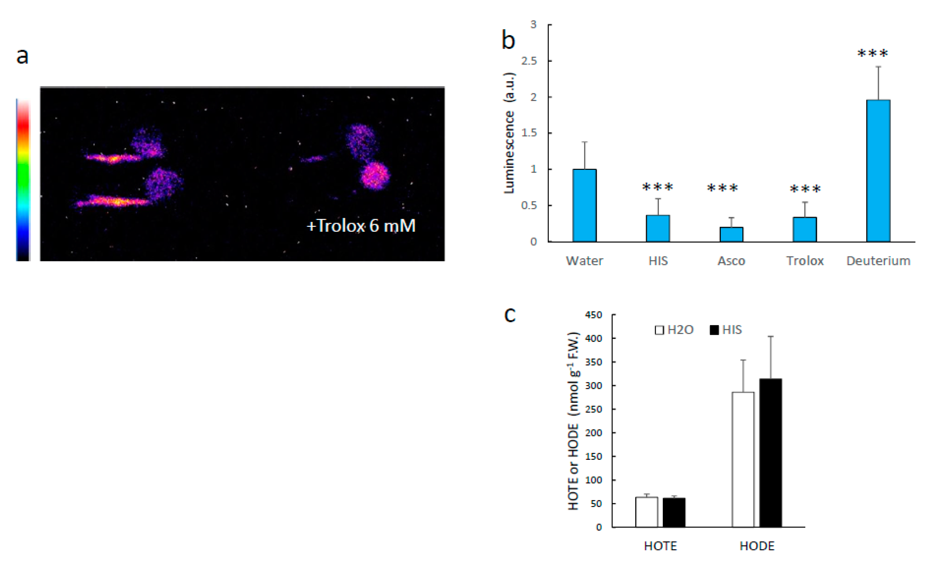 Antioxidants 11 01333 g009