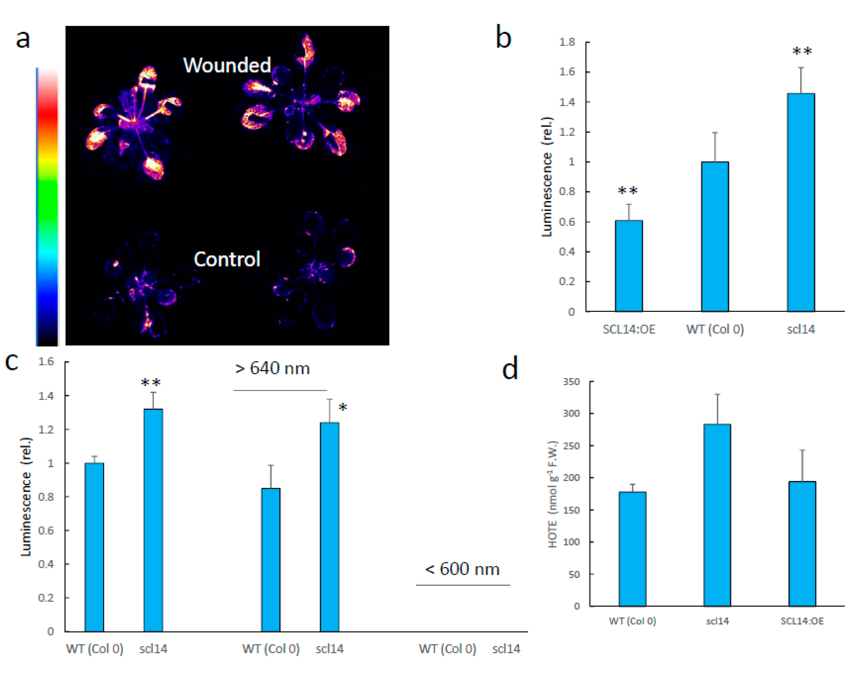 Antioxidants 11 01333 g010