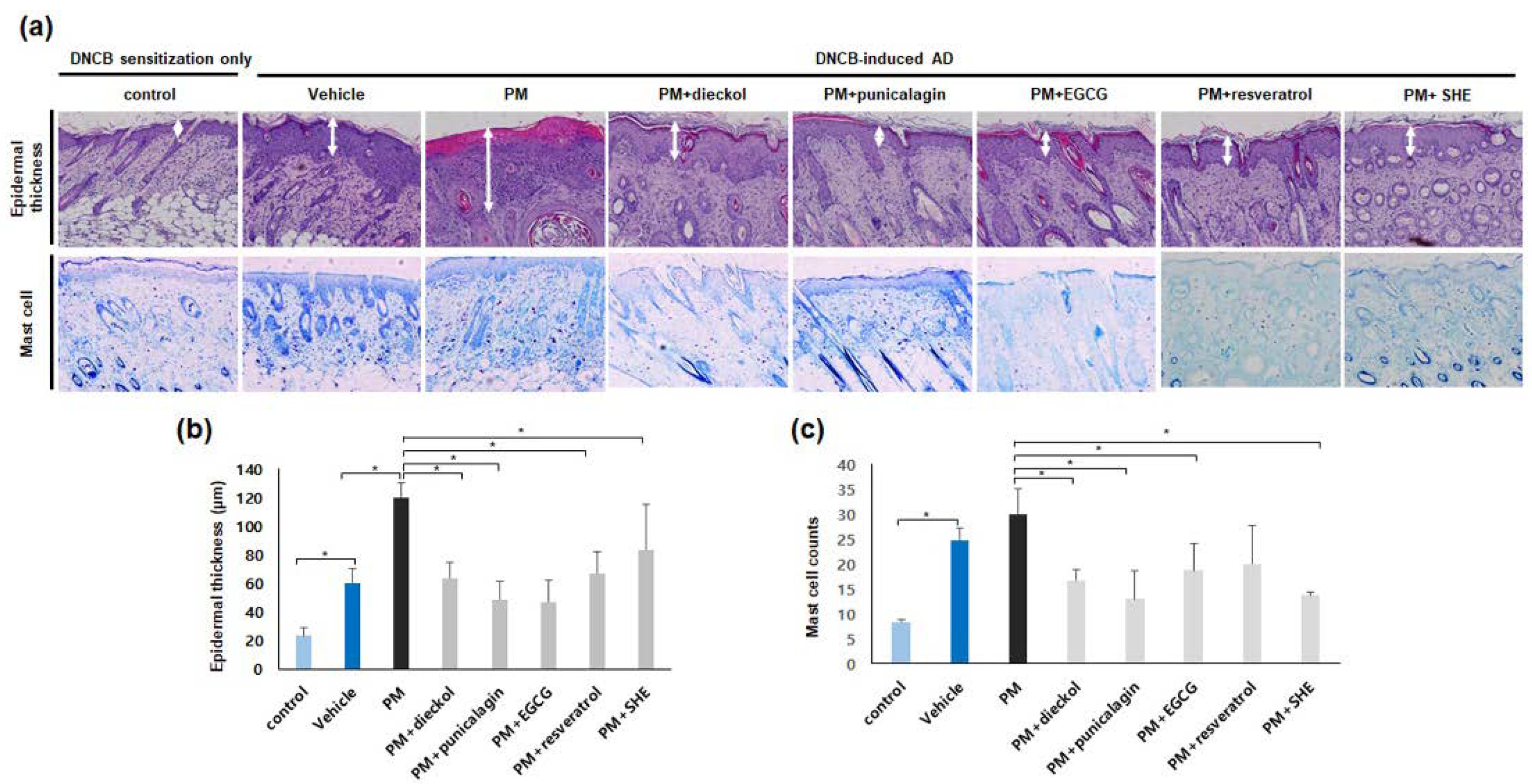Antioxidants 11 01334 g003