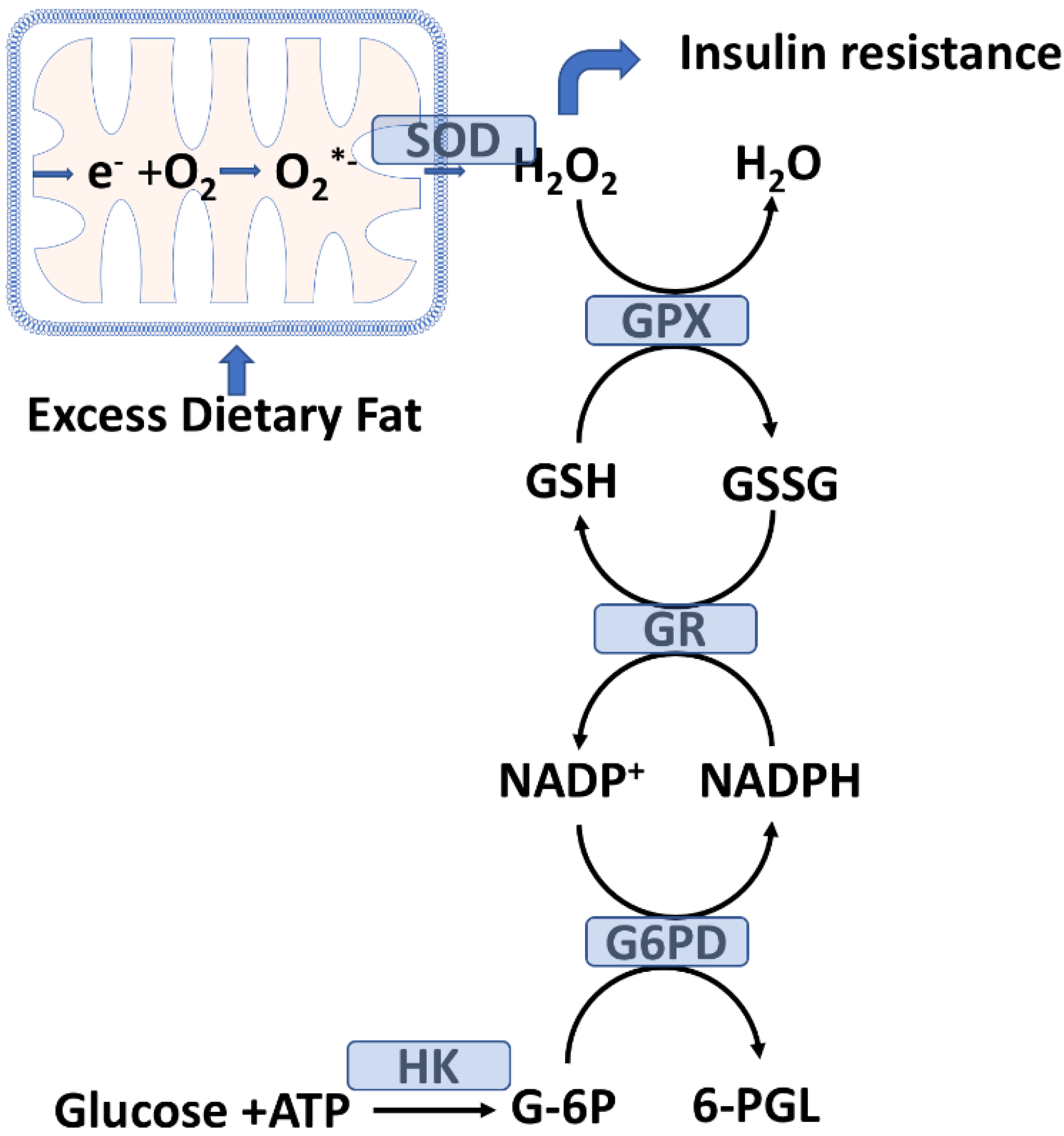 Antioxidants 11 01336 g002