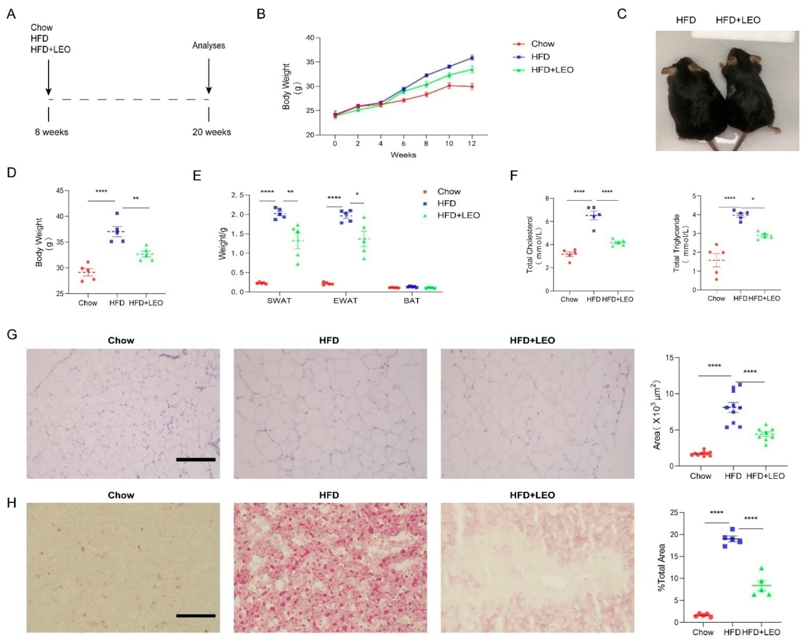 Antioxidants 11 01338 g001