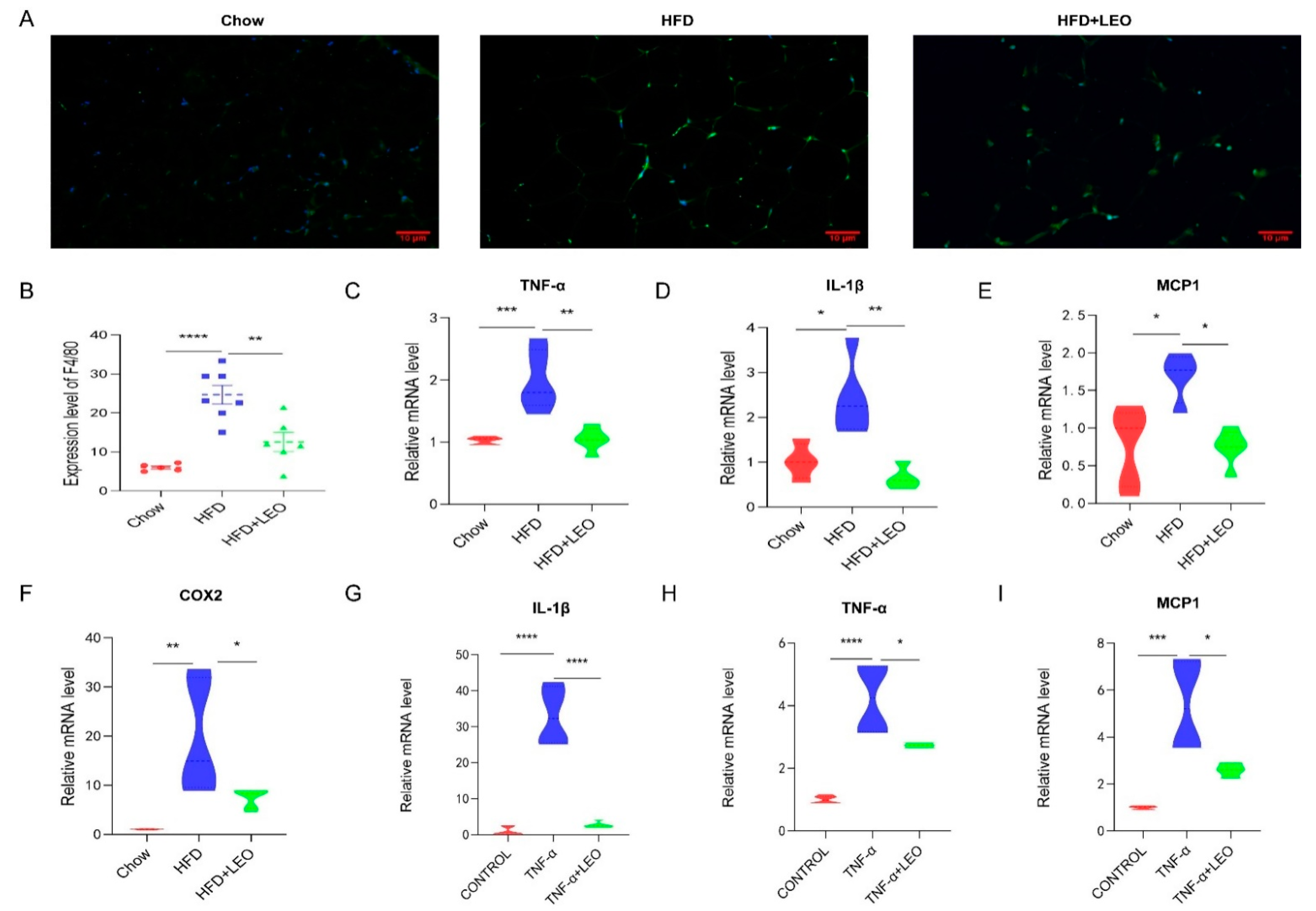 Antioxidants 11 01338 g002