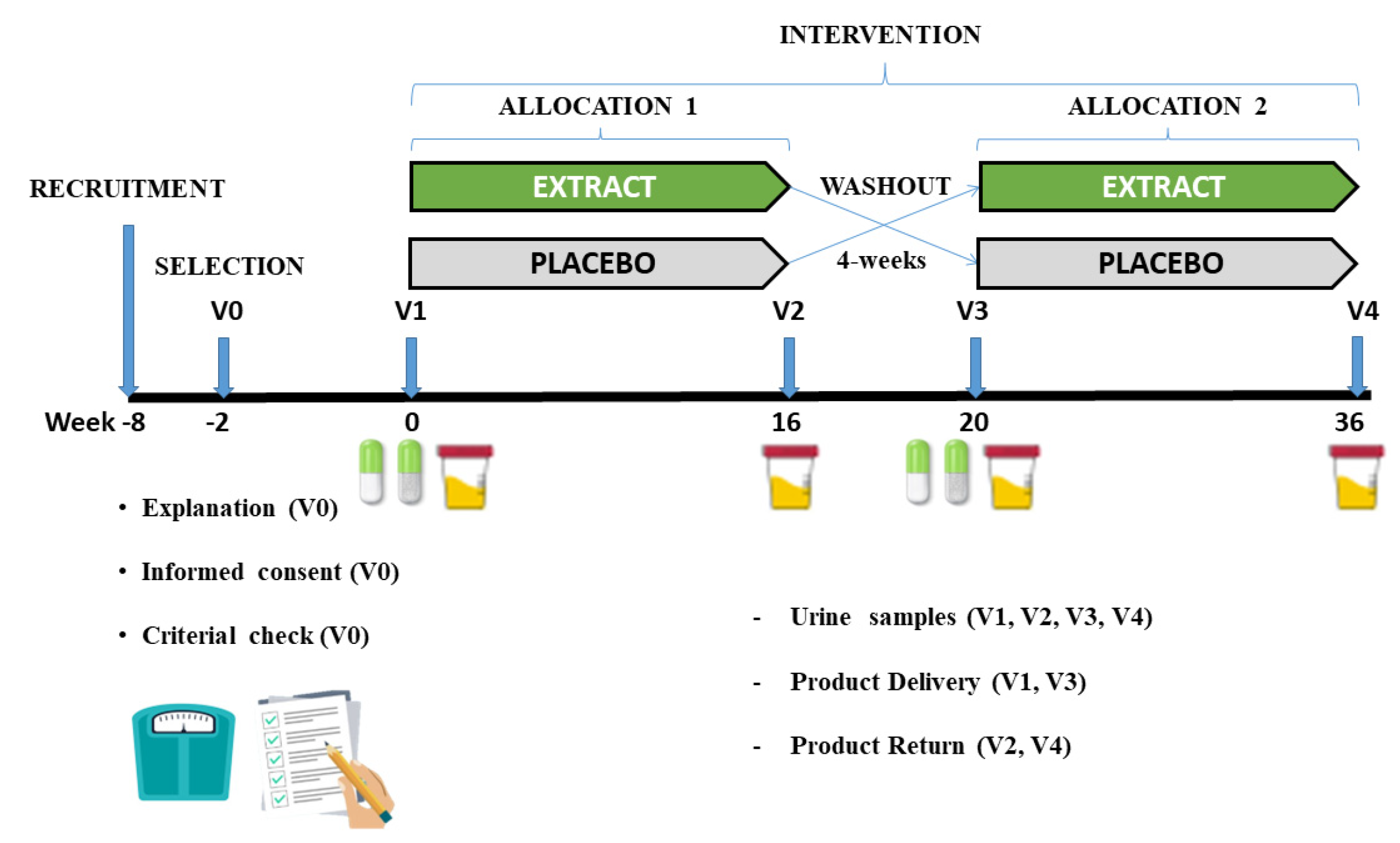 Antioxidants 11 01342 g001