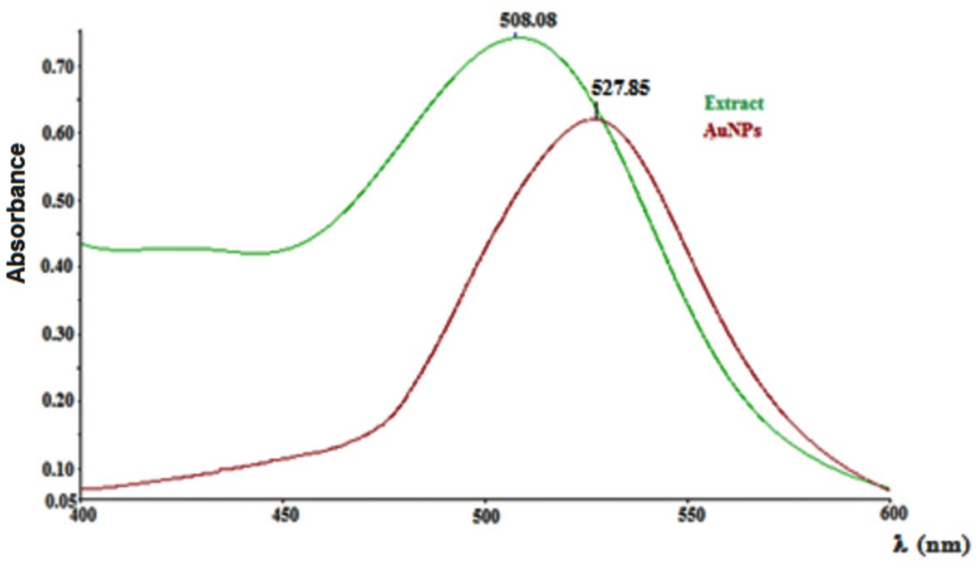 Antioxidants 11 01343 g002