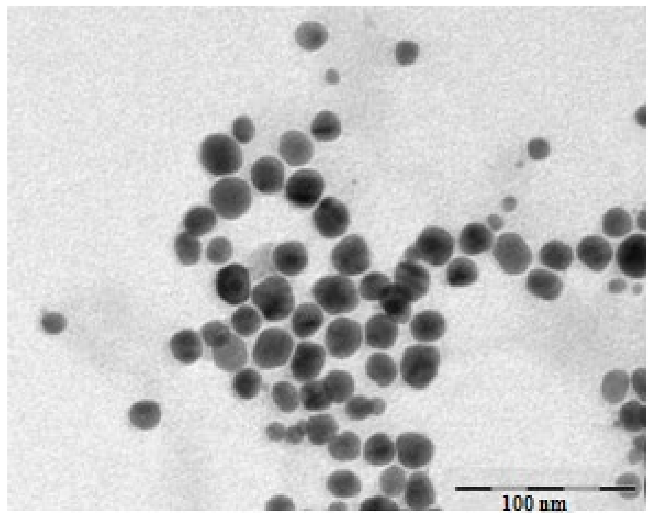 Antioxidants 11 01343 g003
