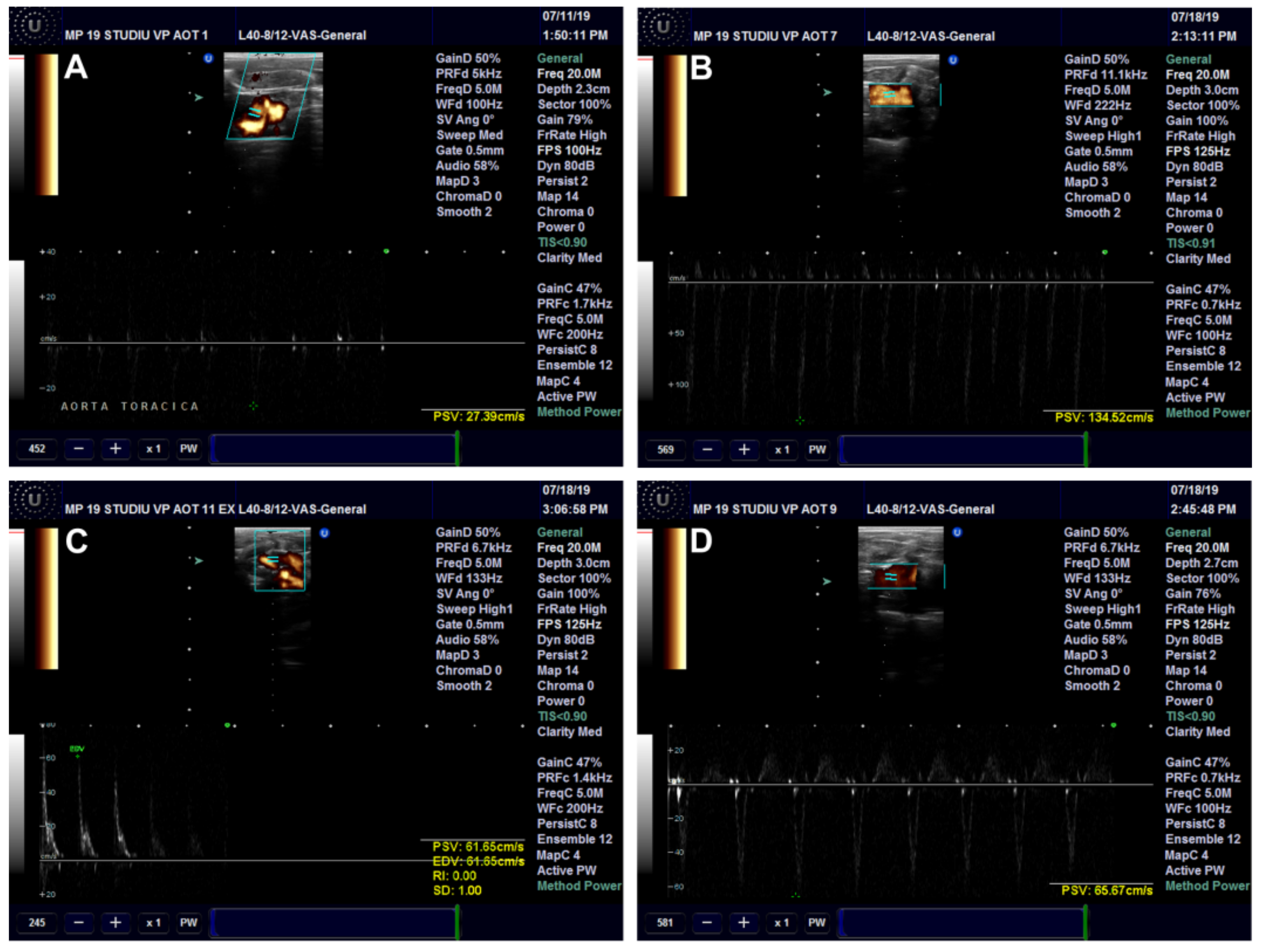 Antioxidants 11 01343 g012