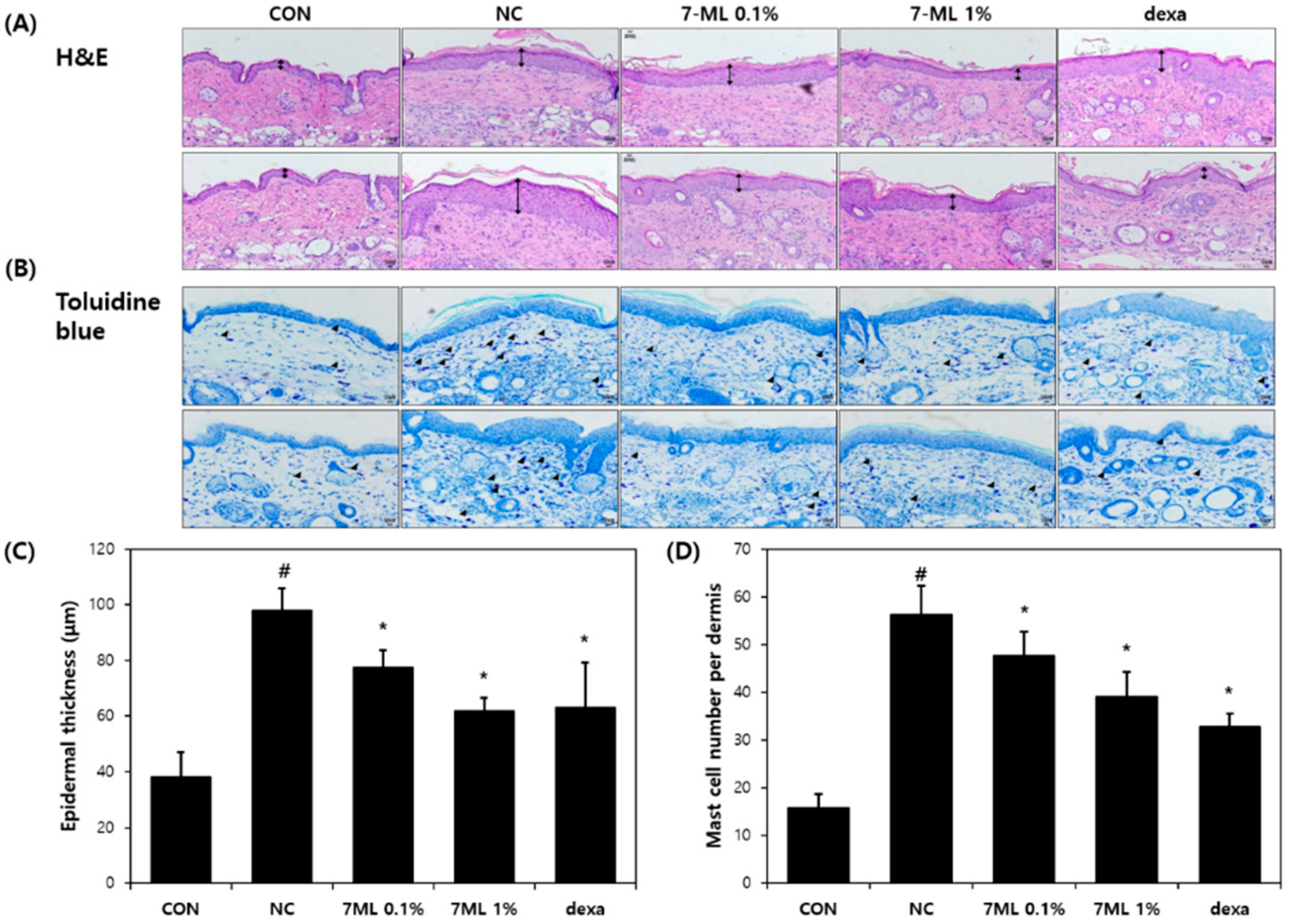 Antioxidants 11 01344 g004