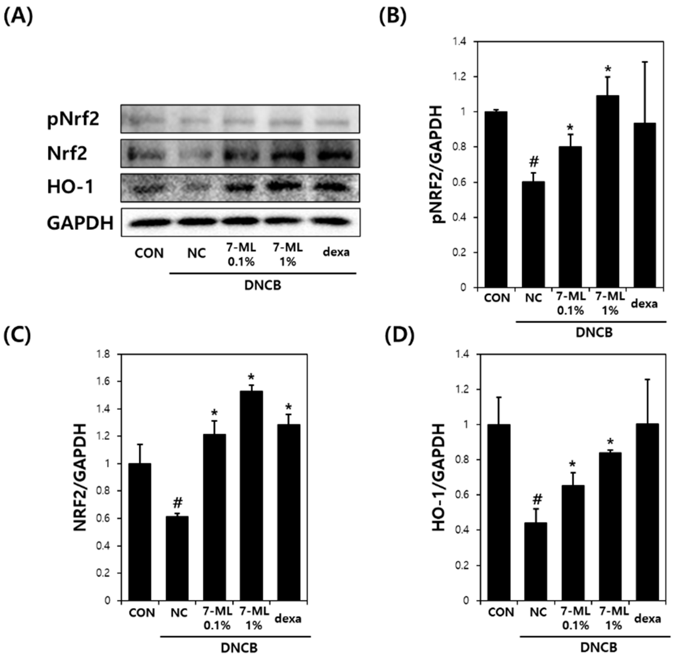 Antioxidants 11 01344 g006