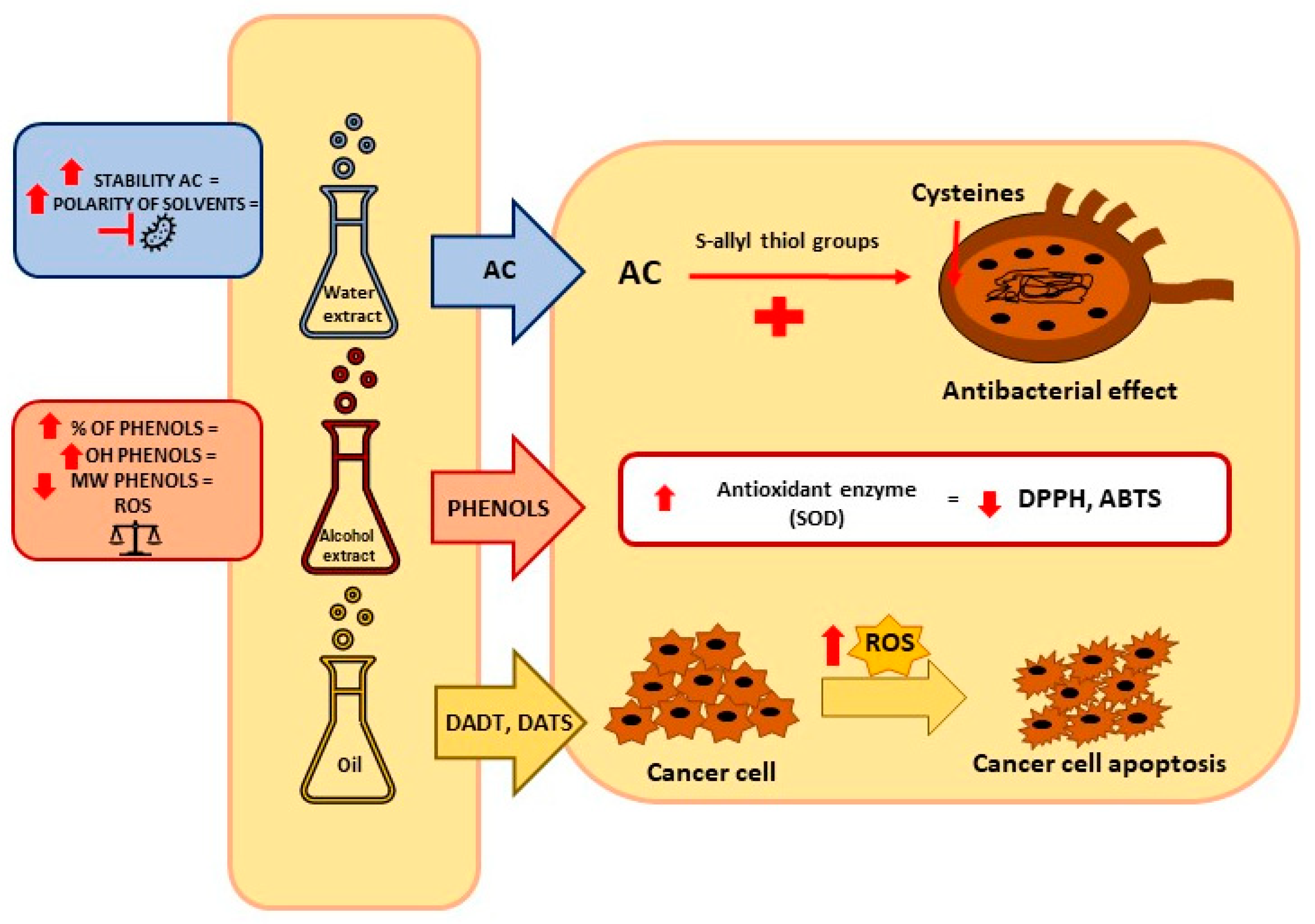 Antioxidants 11 01345 g002