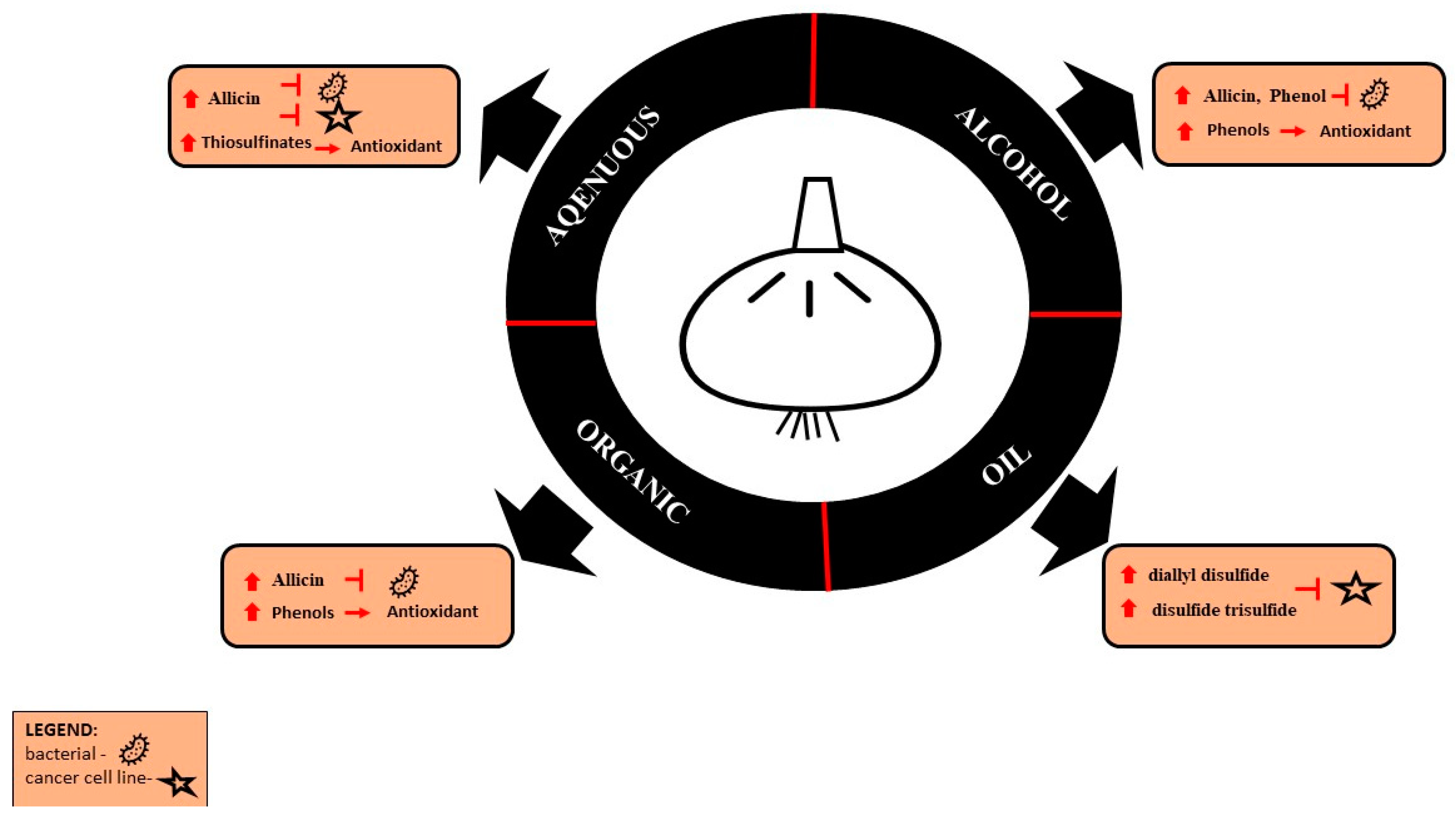 Antioxidants 11 01345 g003