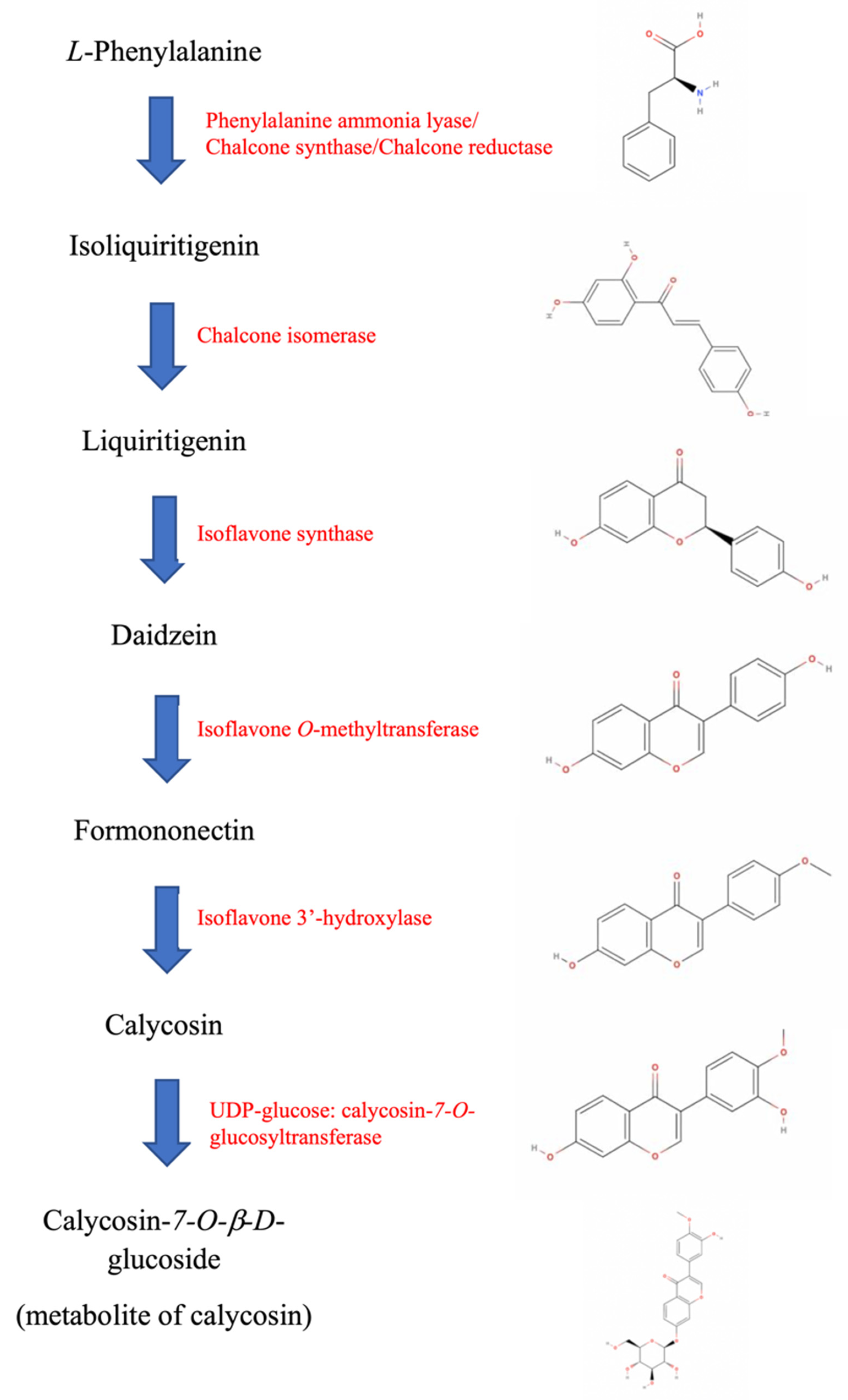 Antioxidants 11 01349 g002