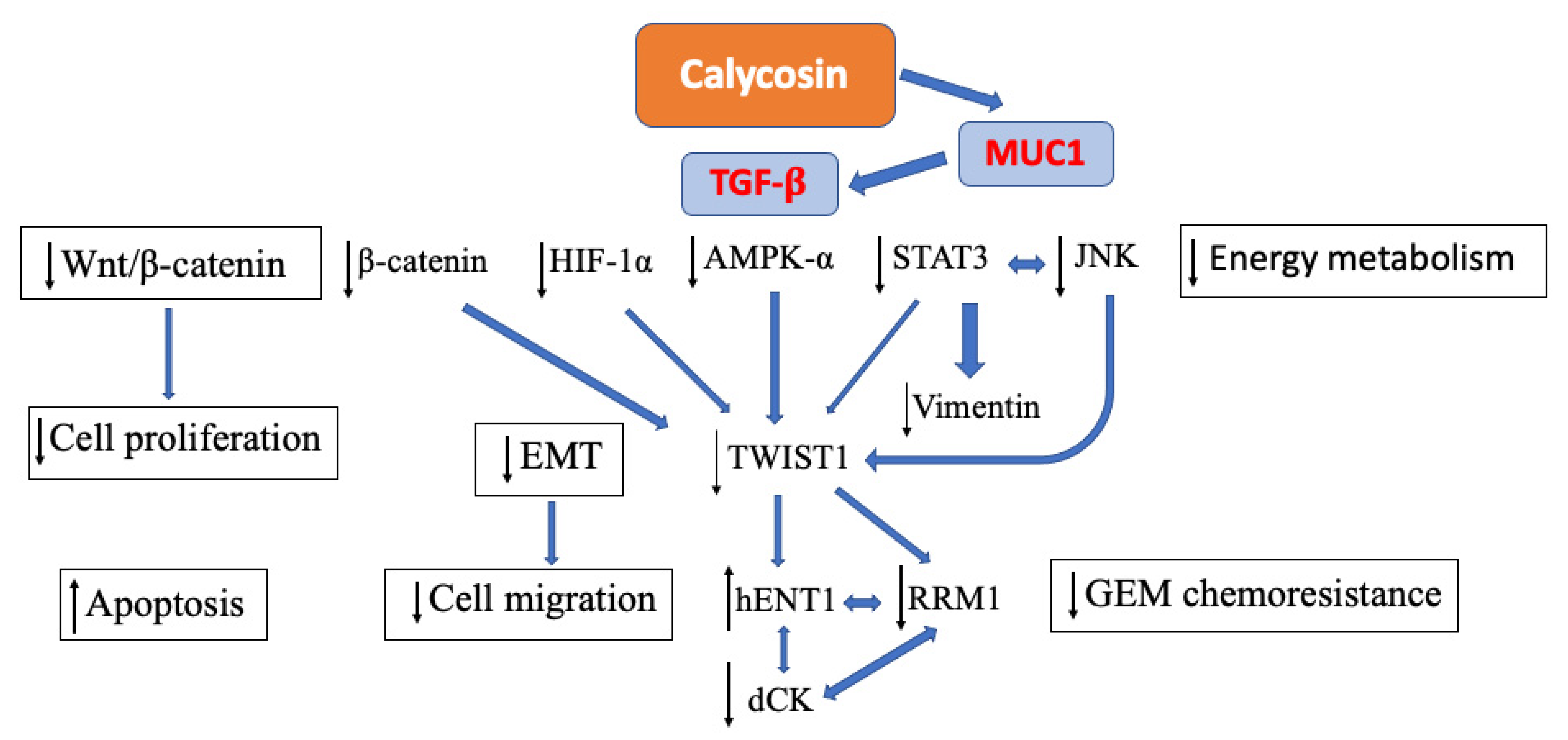 Antioxidants 11 01349 g003