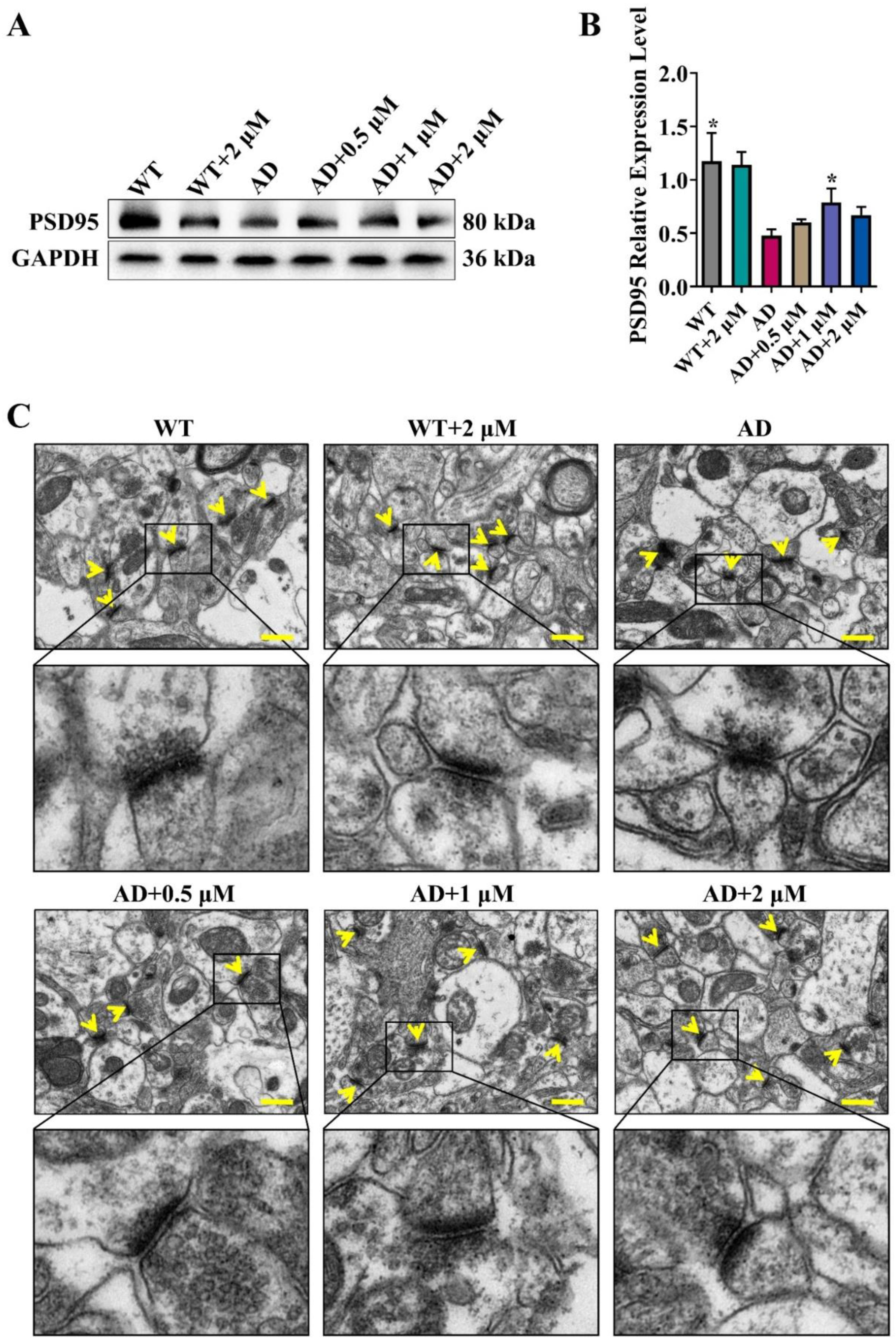 Antioxidants 11 01350 g003