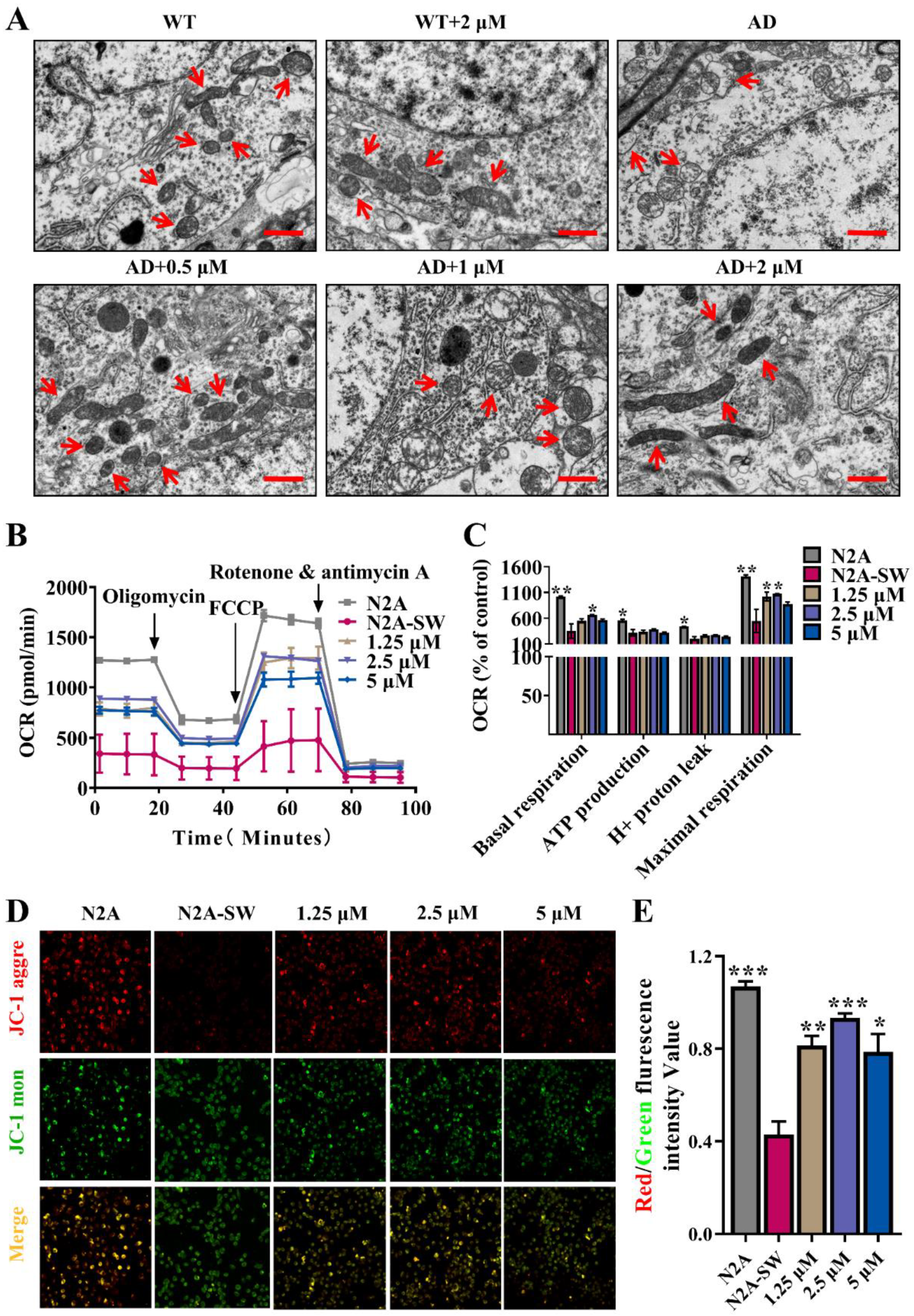 Antioxidants 11 01350 g005