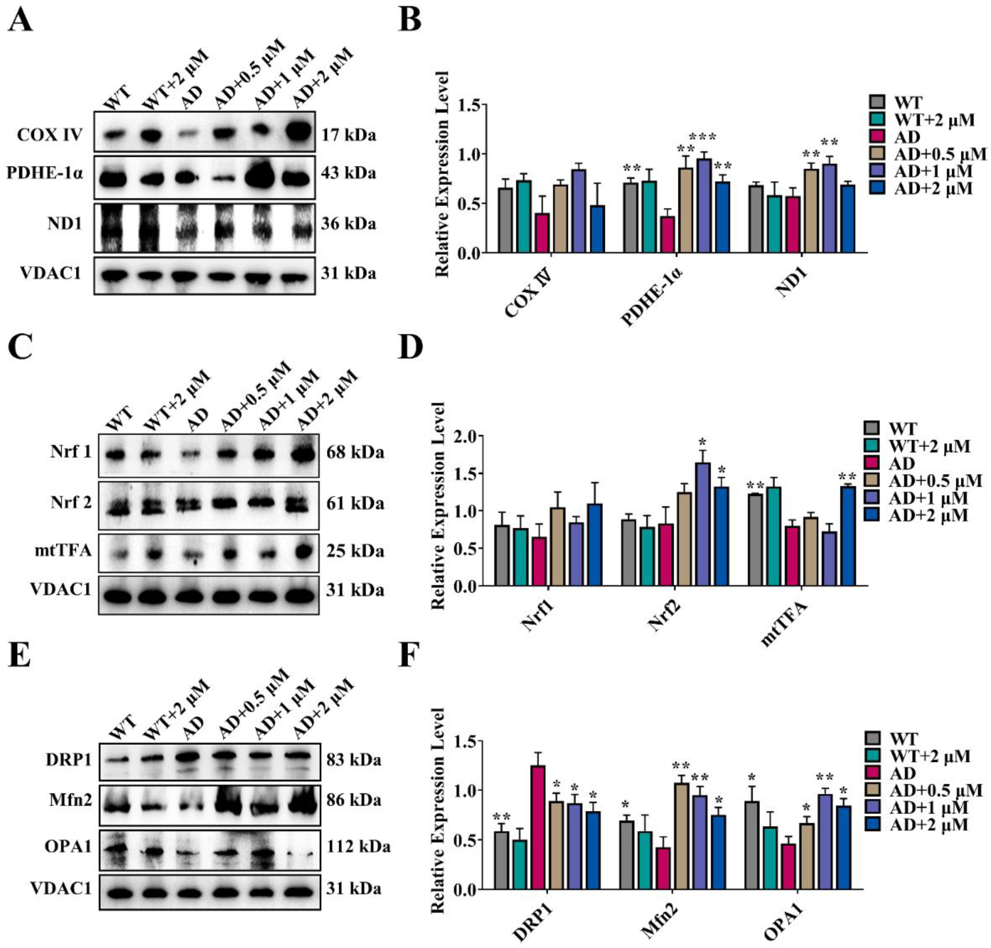 Antioxidants 11 01350 g006