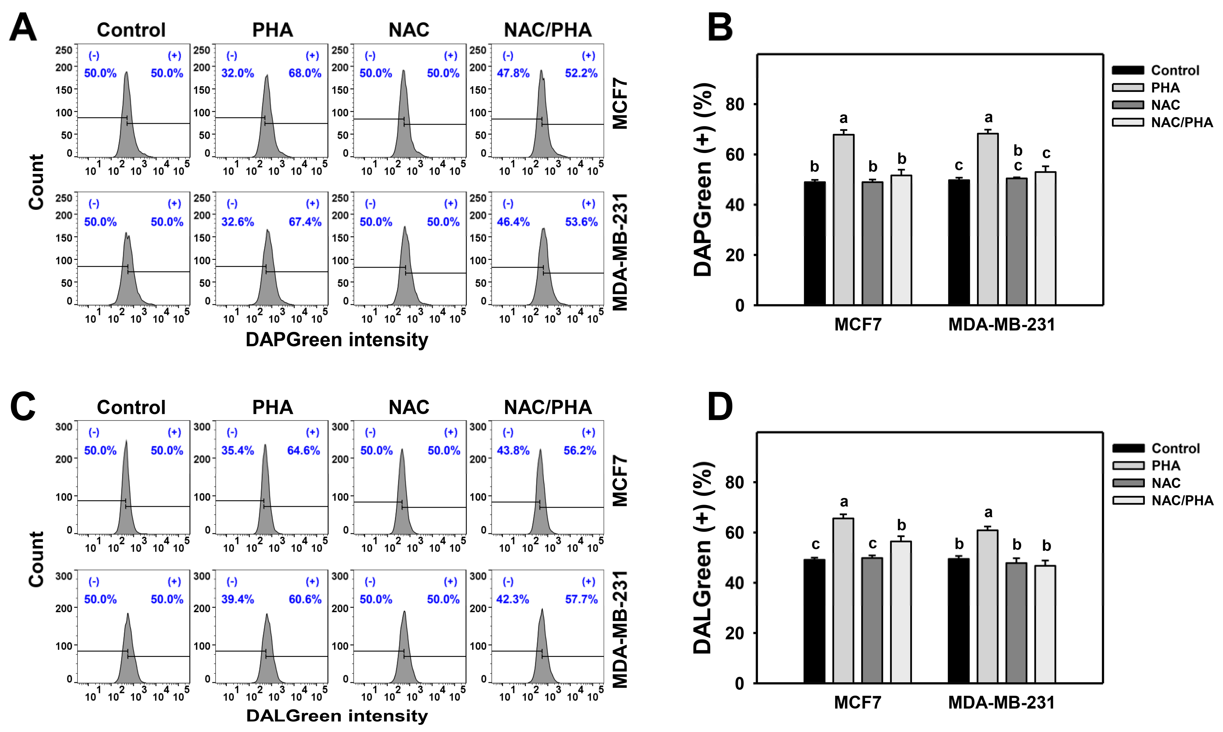 Antioxidants 11 01352 g003