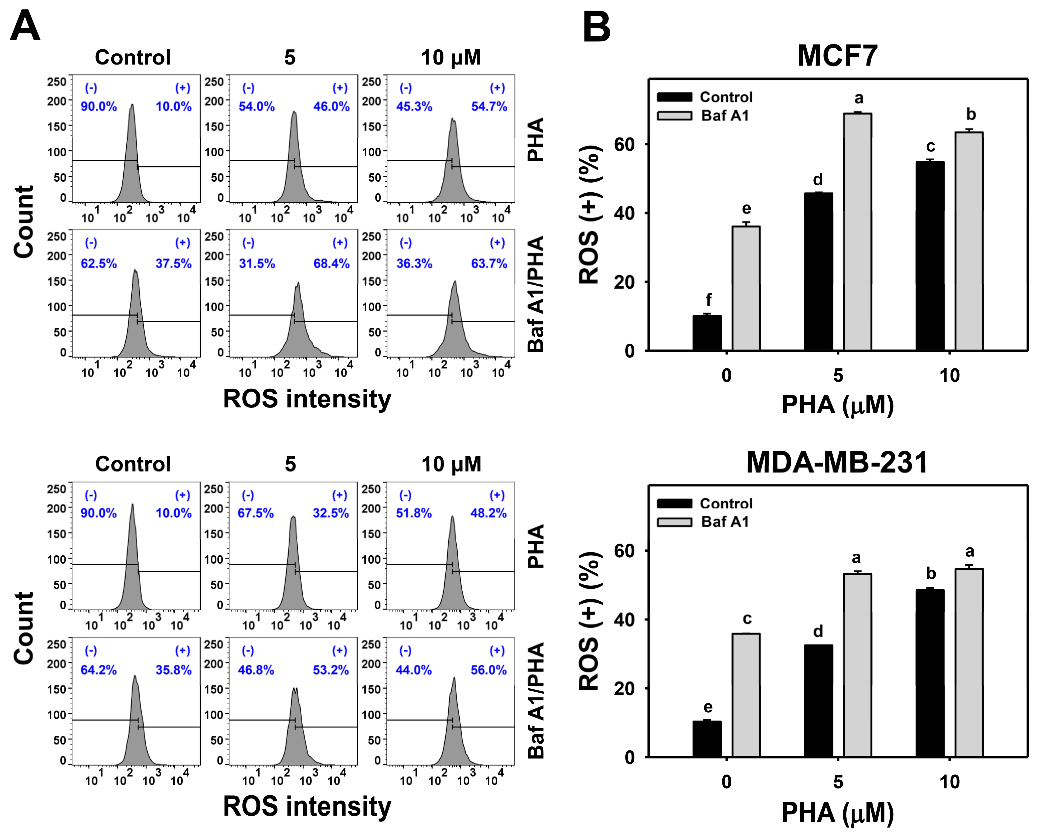 Antioxidants 11 01352 g004a