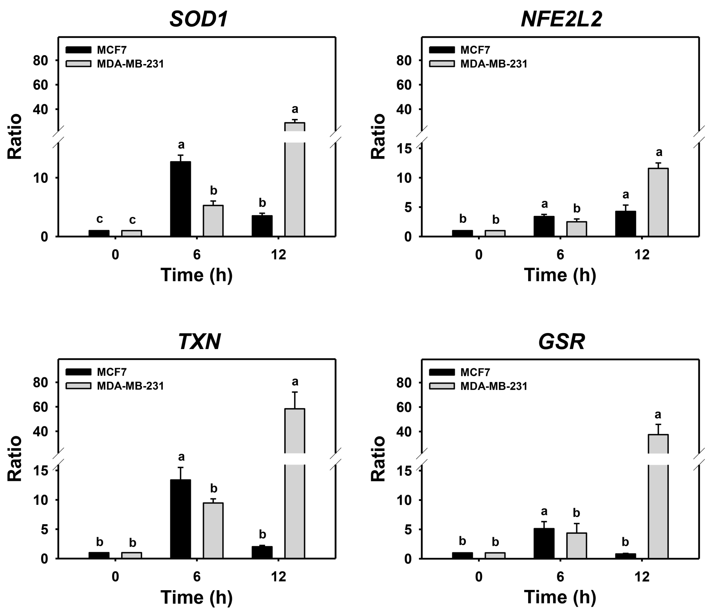 Antioxidants 11 01352 g005