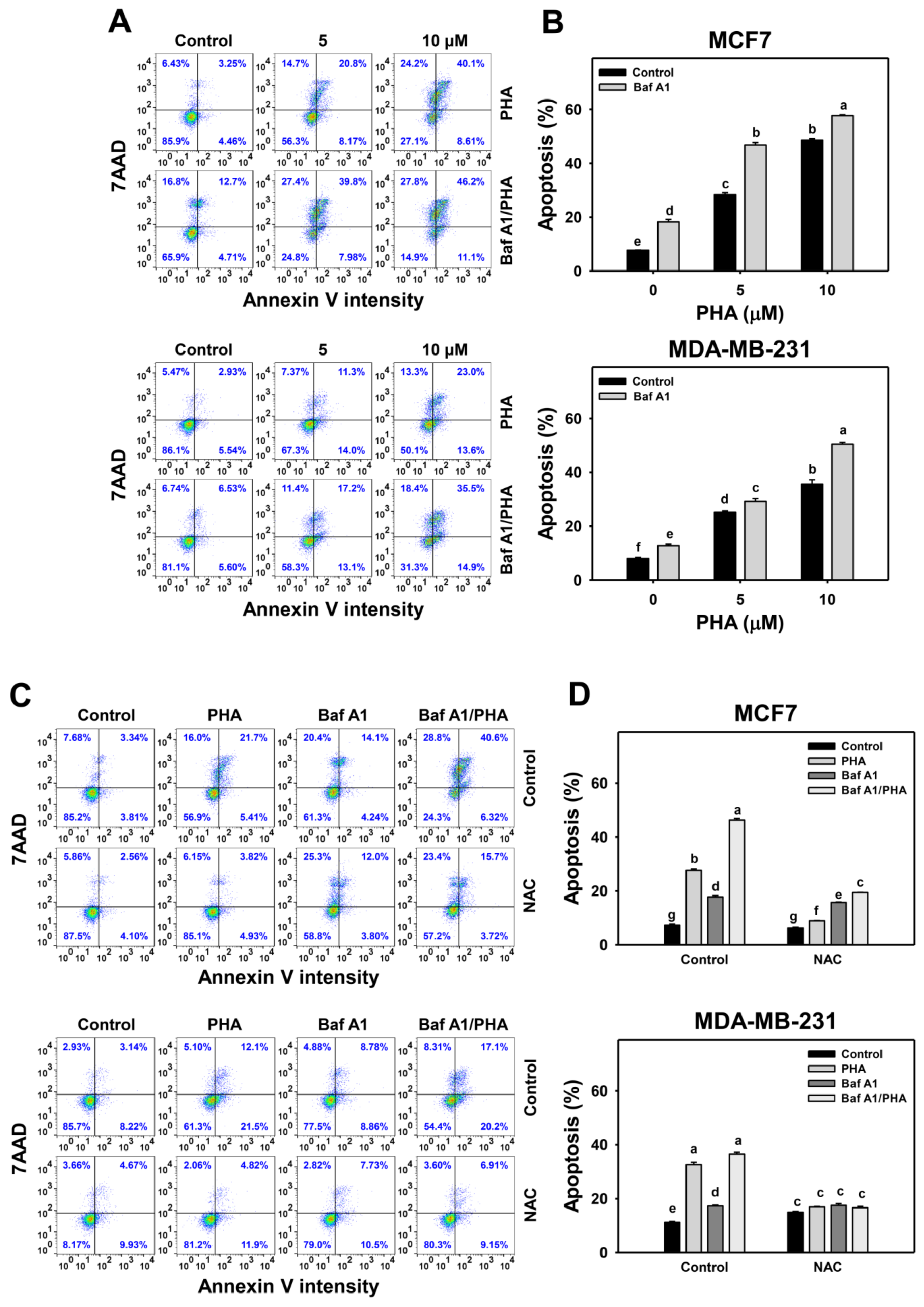 Antioxidants 11 01352 g006