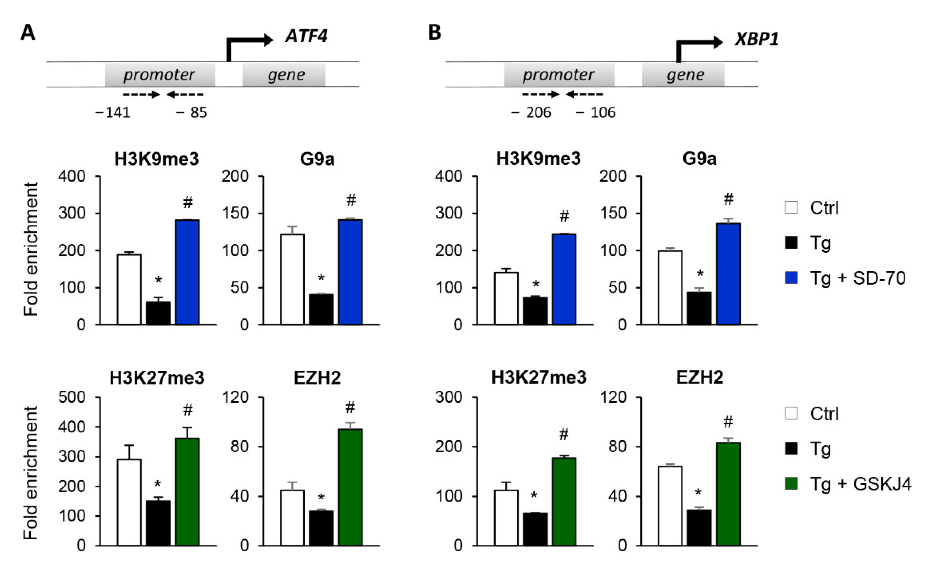 Antioxidants 11 01355 g008