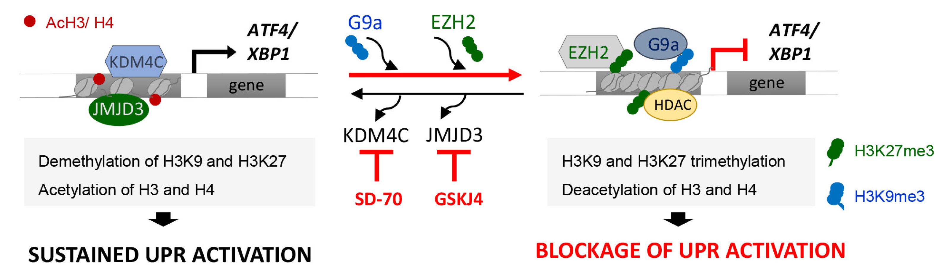 Antioxidants 11 01355 g009