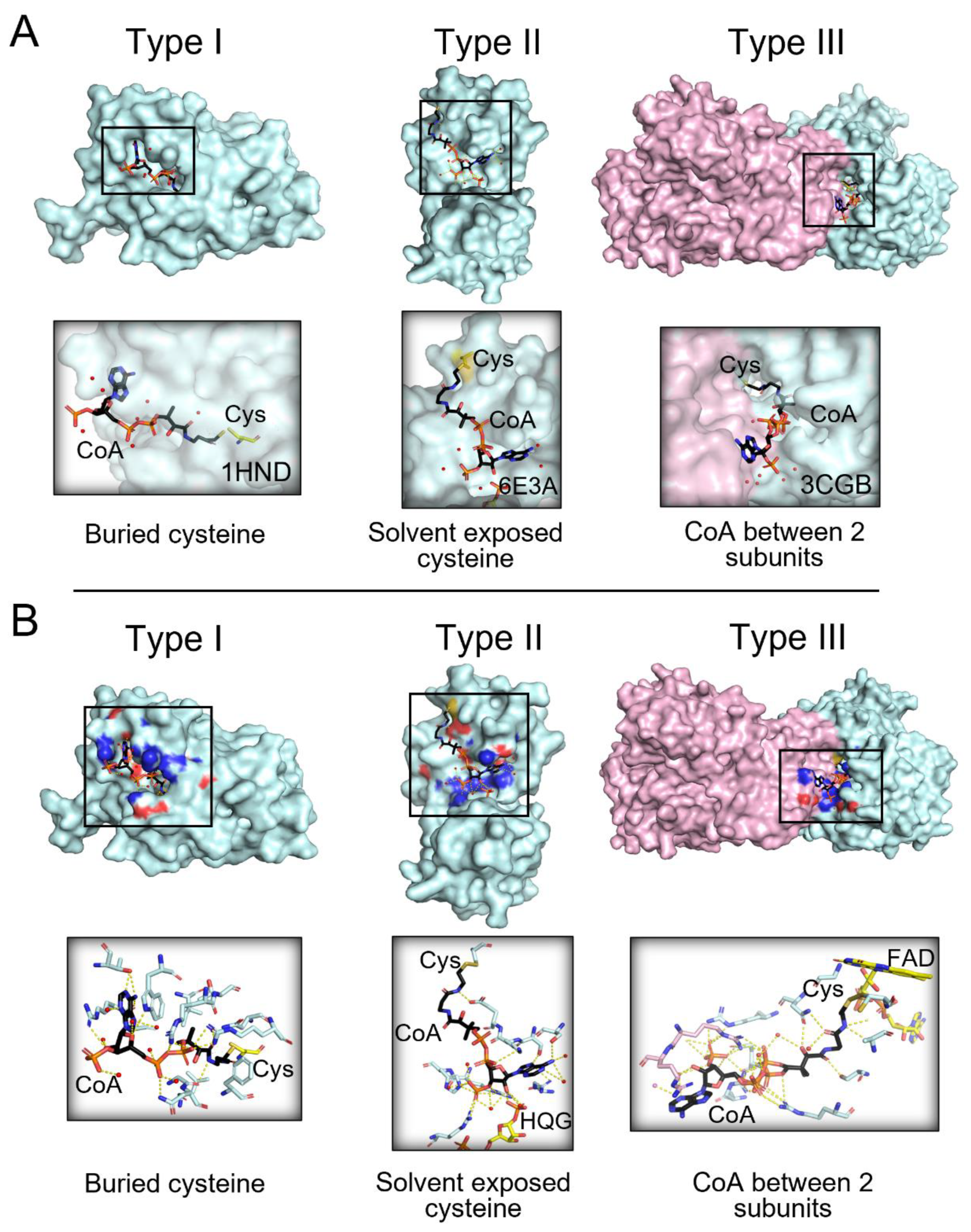 Antioxidants 11 01362 g003