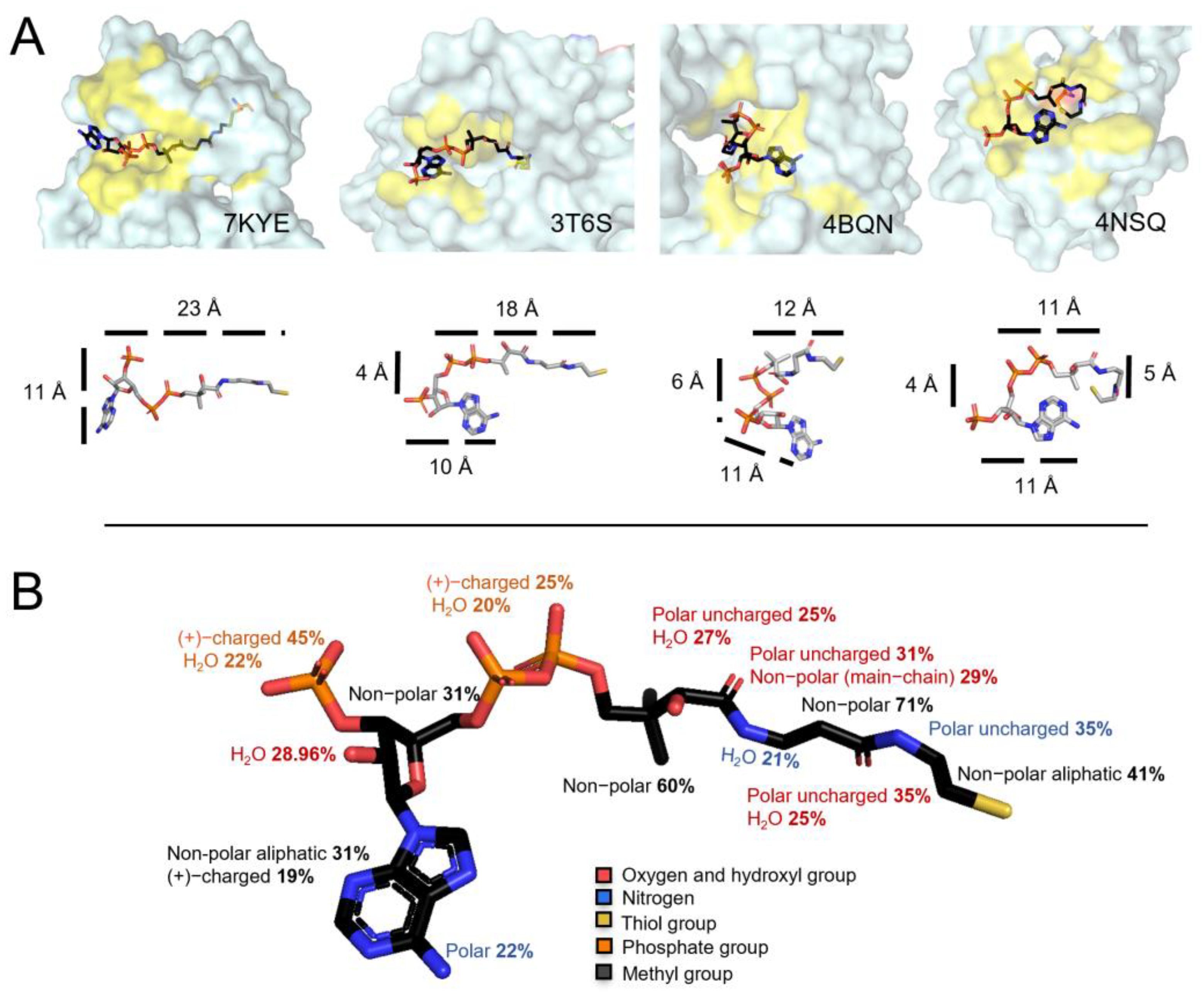 Antioxidants 11 01362 g004