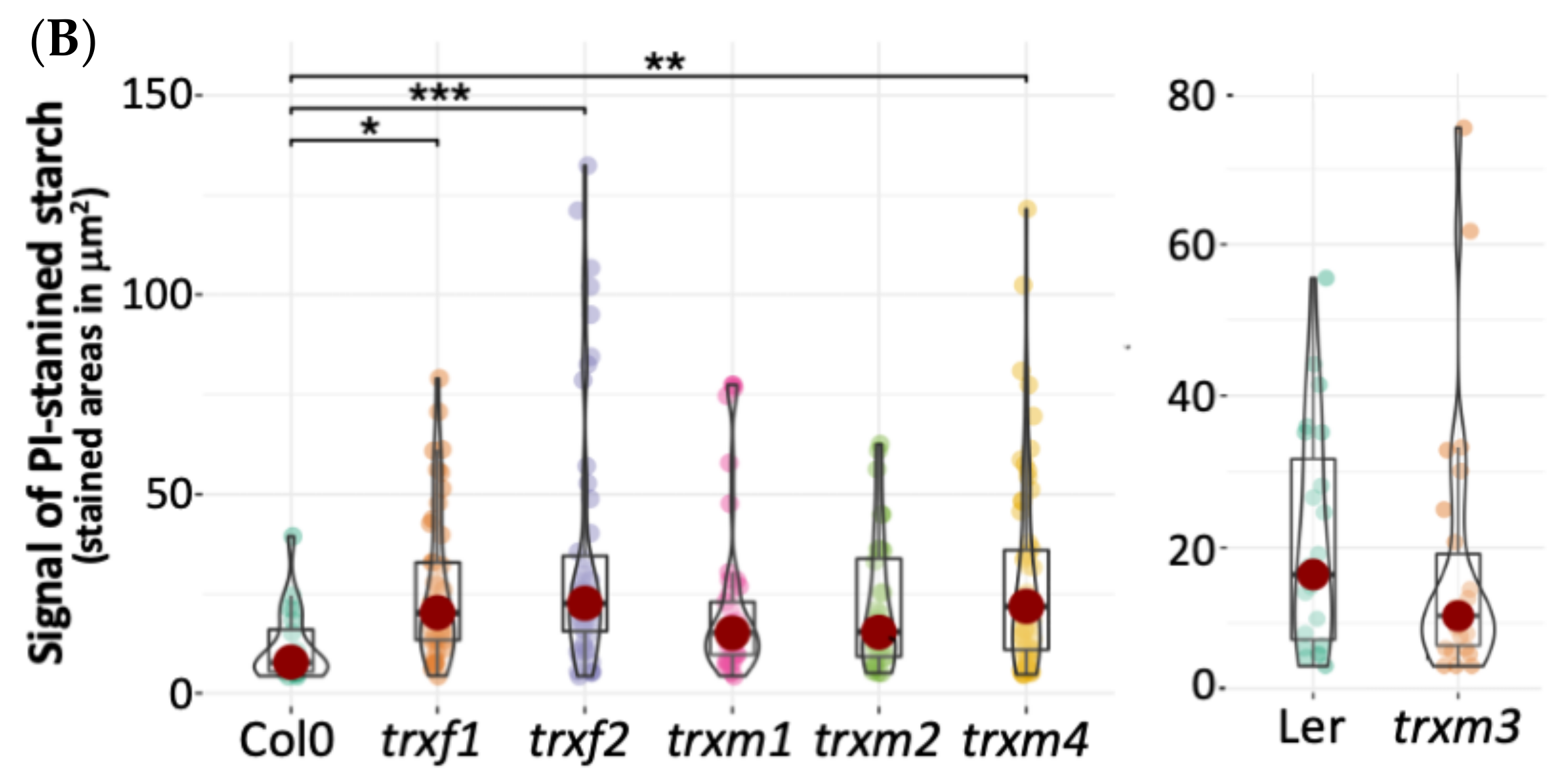 Antioxidants 11 01365 g007b