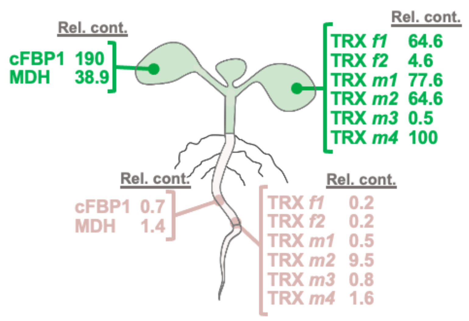 Antioxidants 11 01365 g009