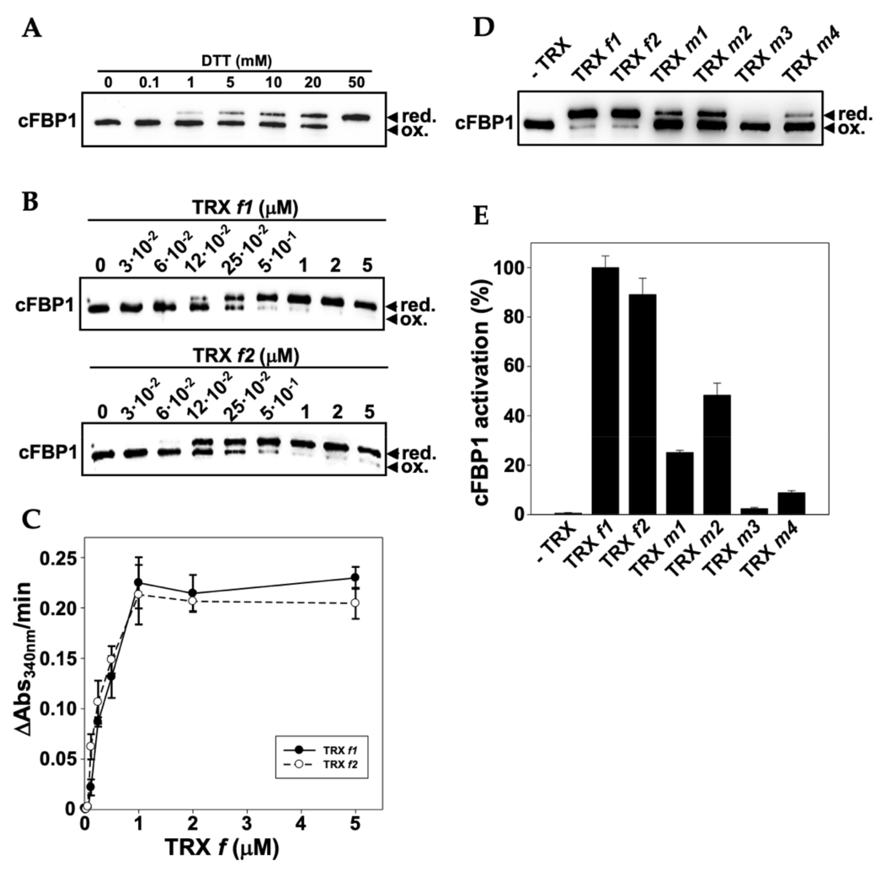 Antioxidants 11 01365 g010