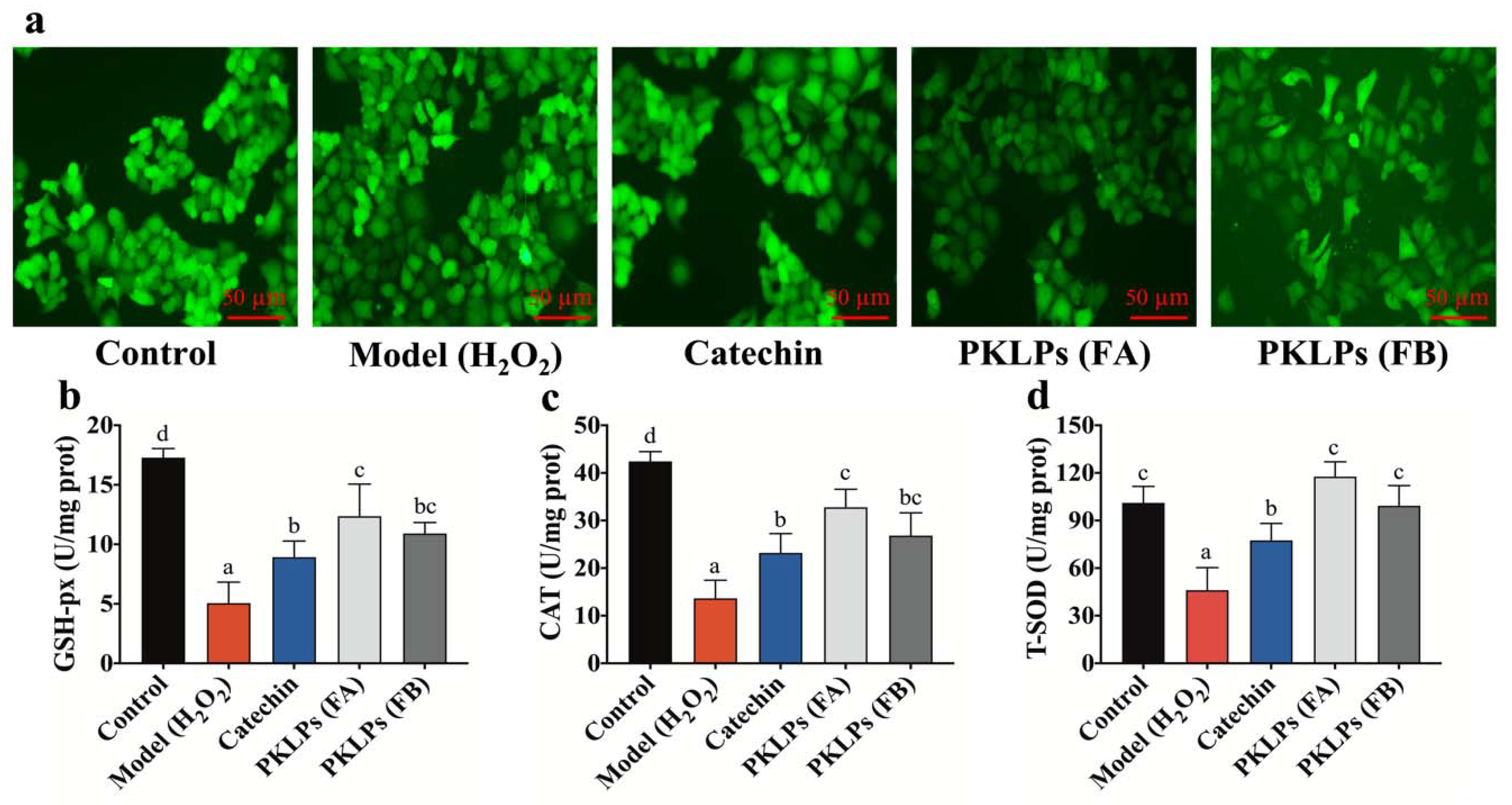 Antioxidants 11 01367 g002