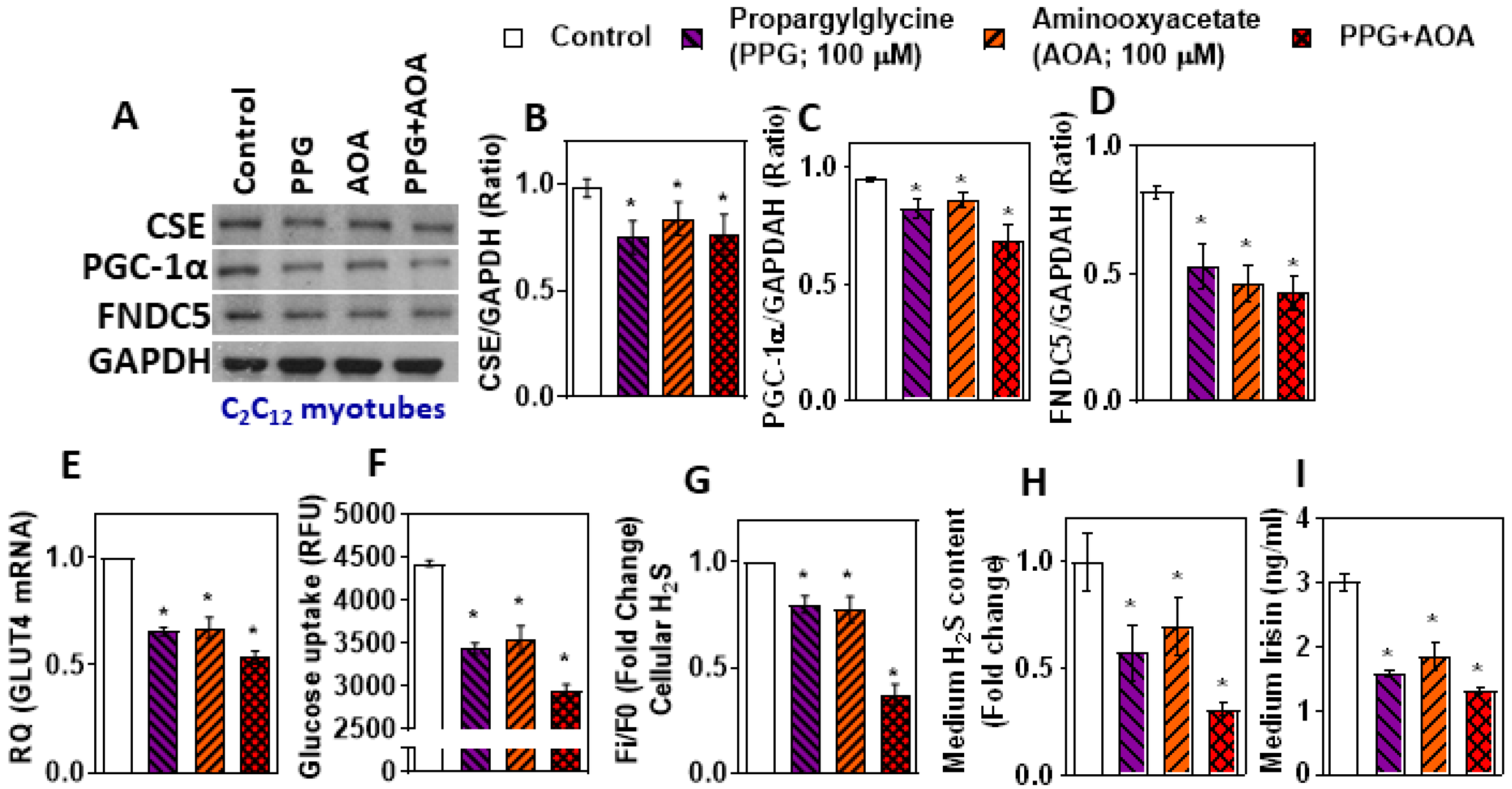 Antioxidants 11 01369 g003 Antioxidants 11 01369 g003