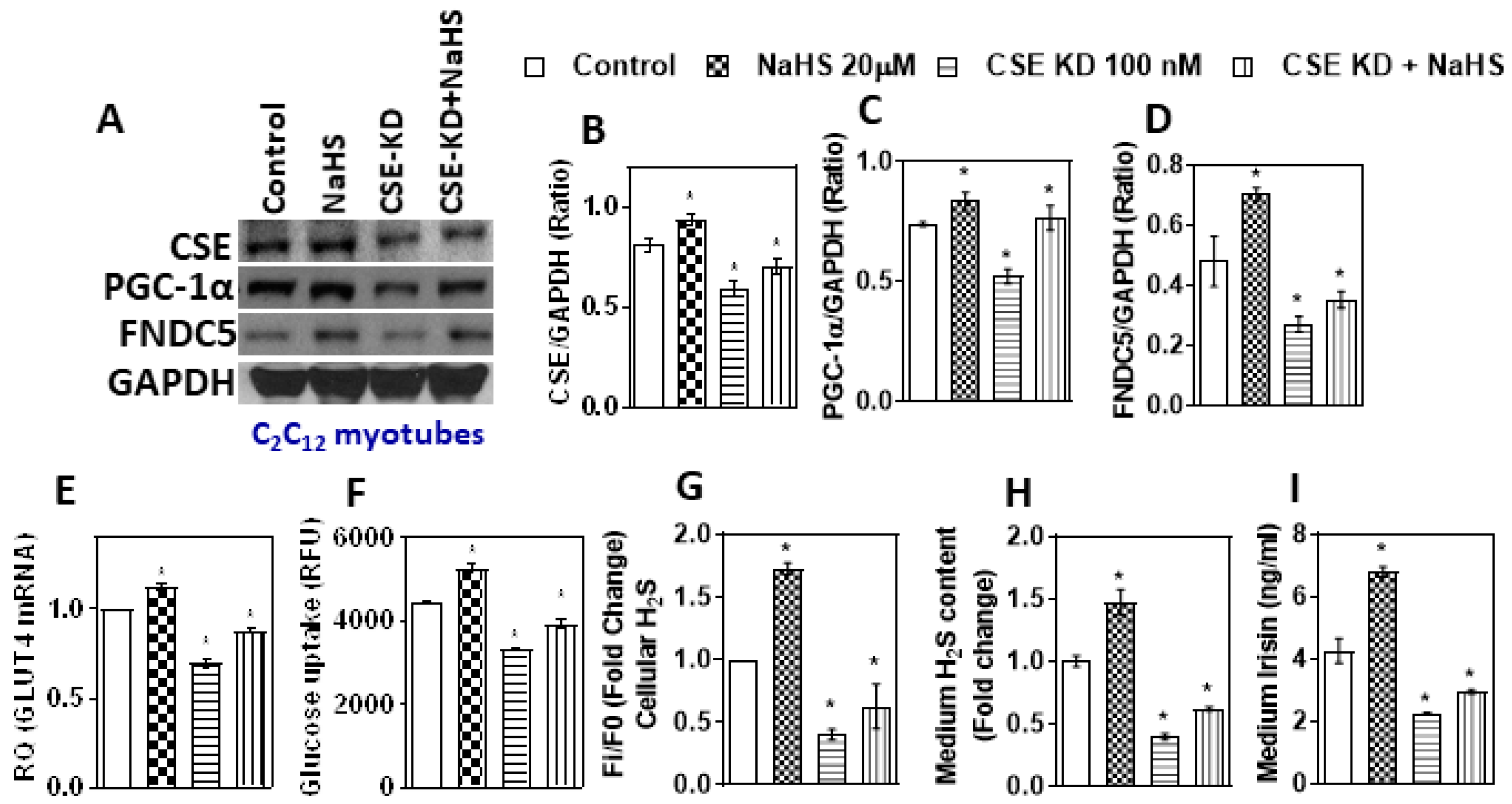 Antioxidants 11 01369 g004 Antioxidants 11 01369 g004