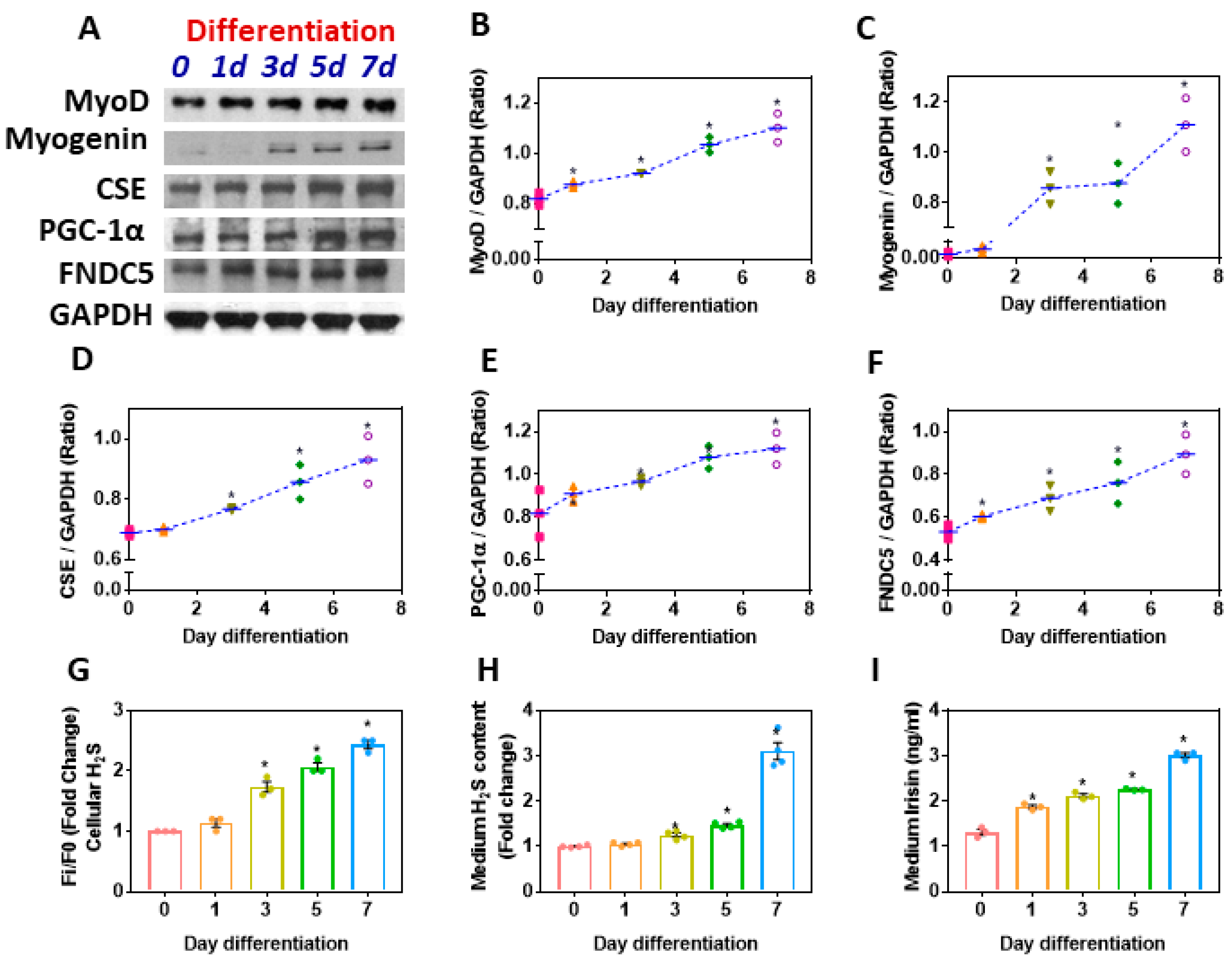 Antioxidants 11 01369 g006 Antioxidants 11 01369 g006